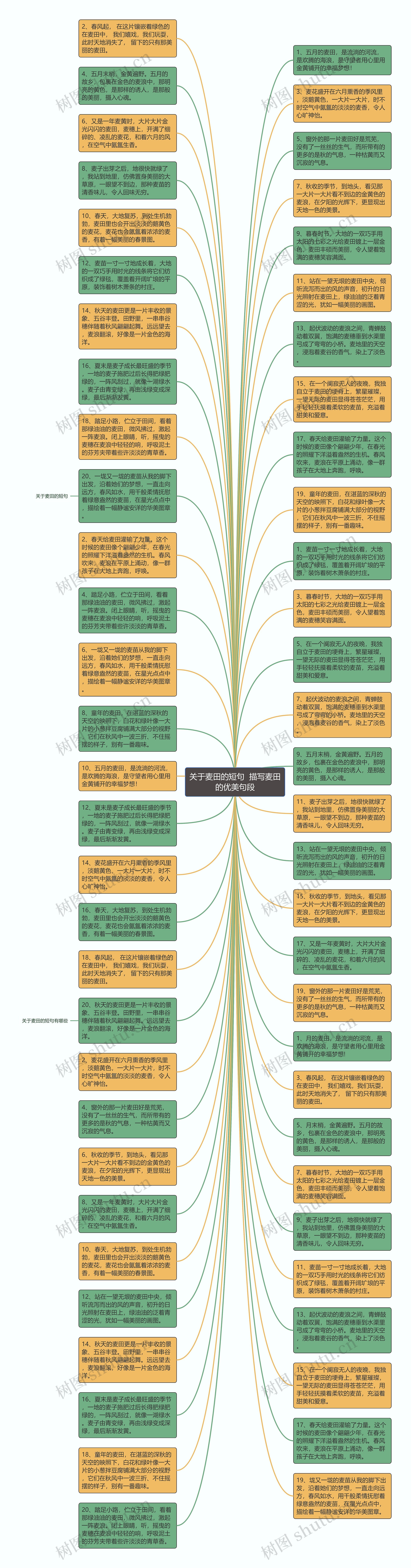 关于麦田的短句  描写麦田的优美句段思维导图