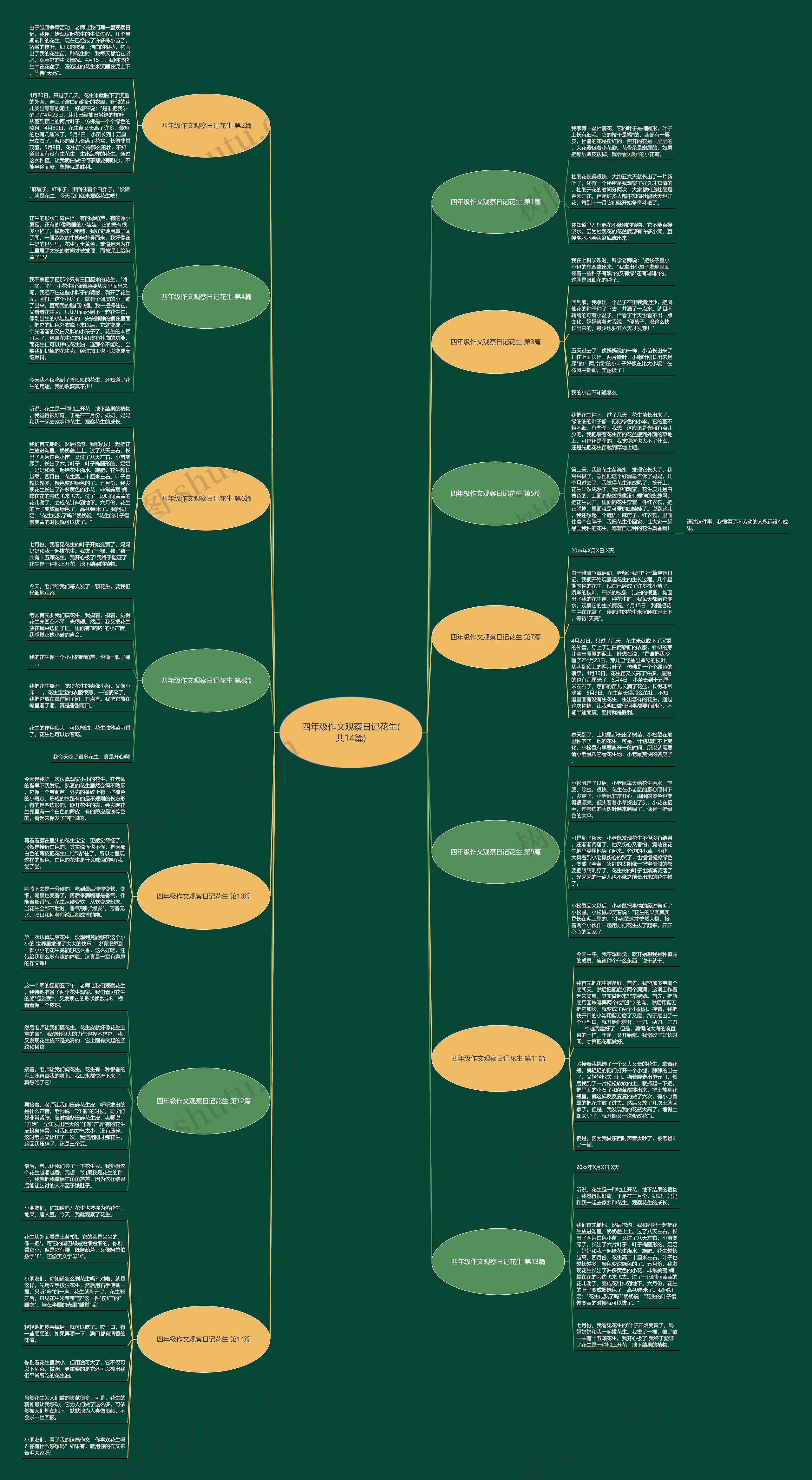 四年级作文观察日记花生(共14篇) 四年级作文观察日记花生(共14篇)