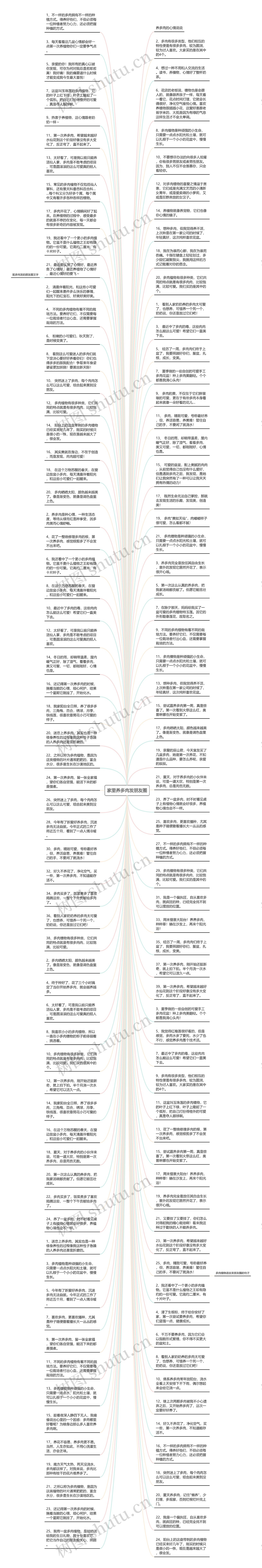 家里养多肉发朋友圈思维导图