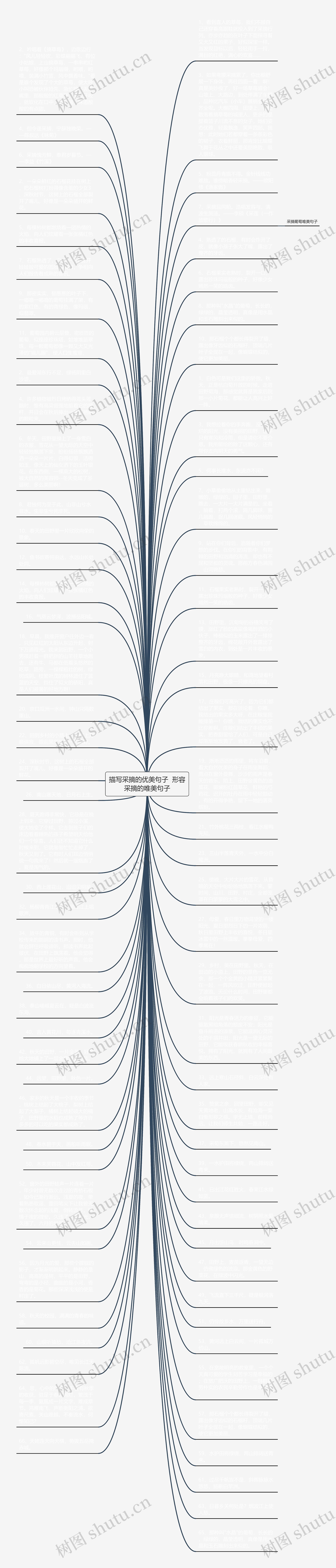 描写采摘的优美句子  形容采摘的唯美句子思维导图
