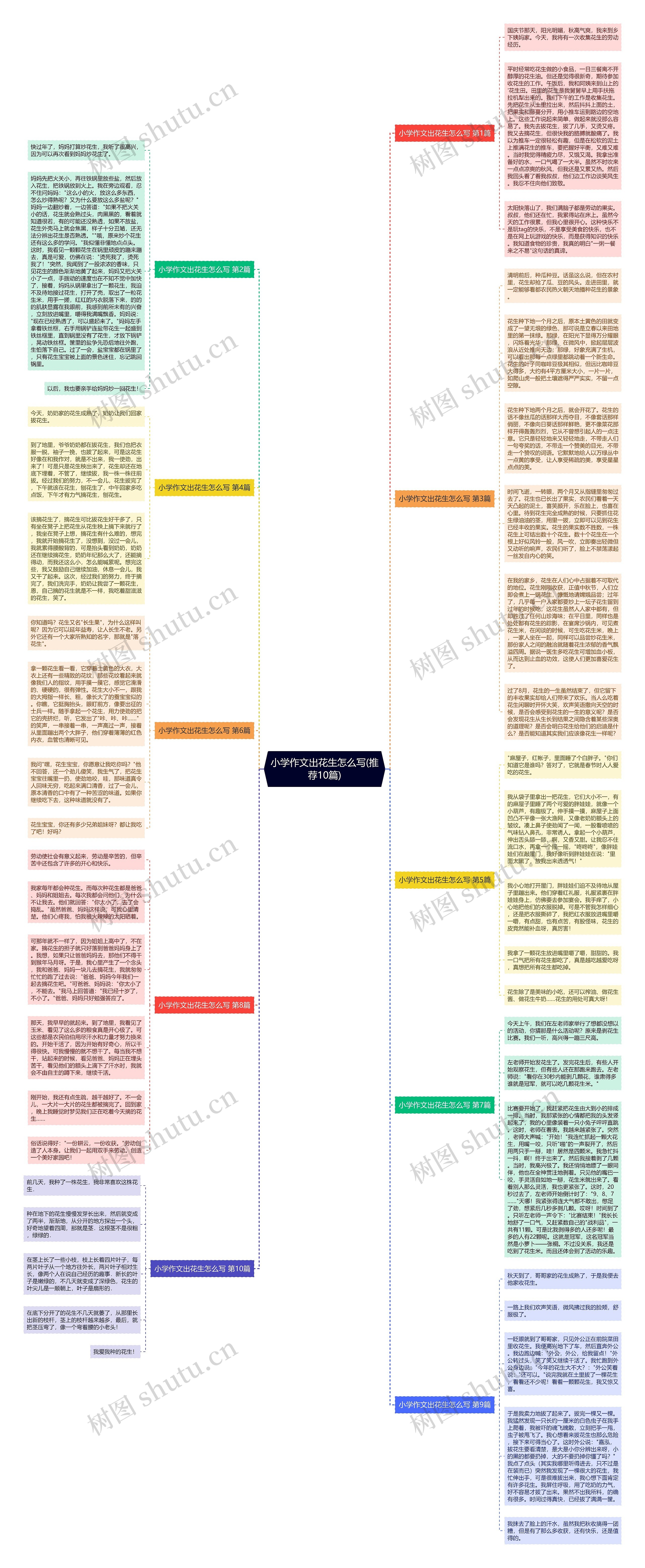 小学作文出花生怎么写(推荐10篇)思维导图
