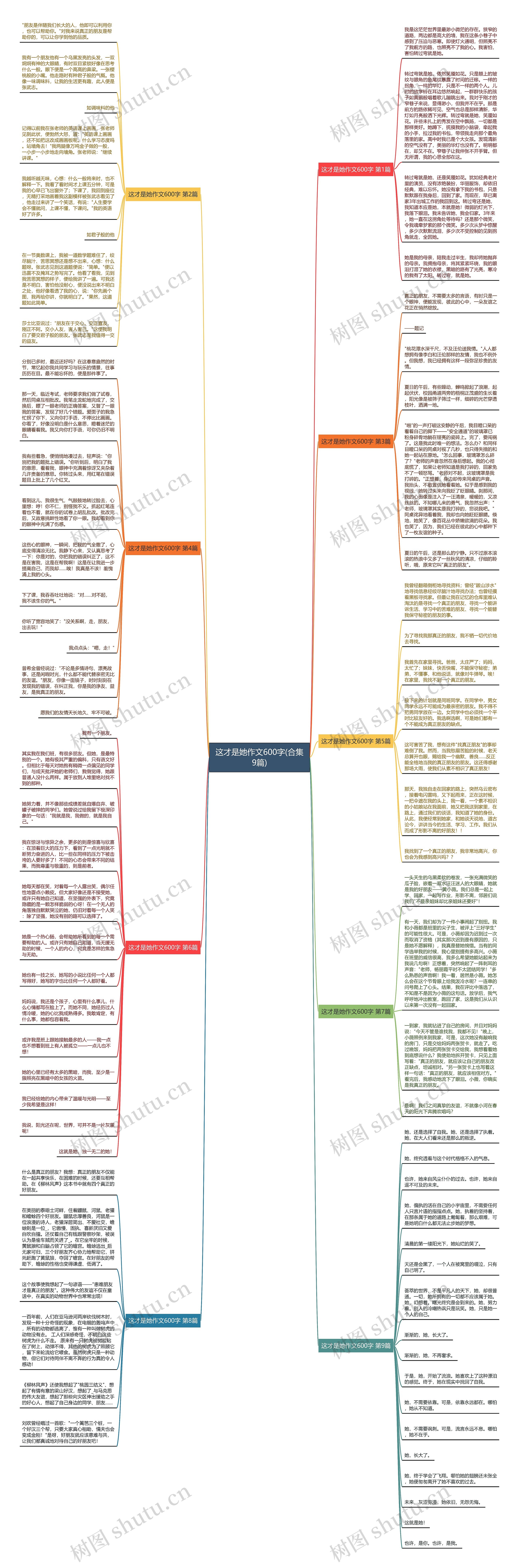 这才是她作文600字(合集9篇)思维导图