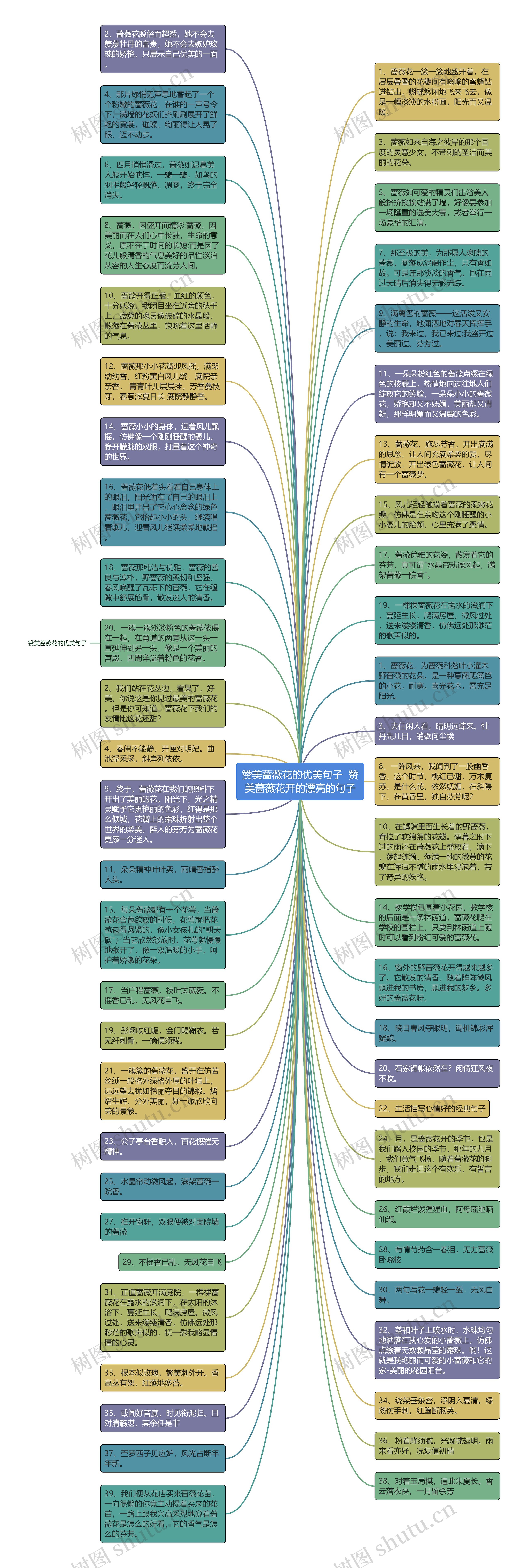 赞美蔷薇花的优美句子  赞美蔷薇花开的漂亮的句子思维导图