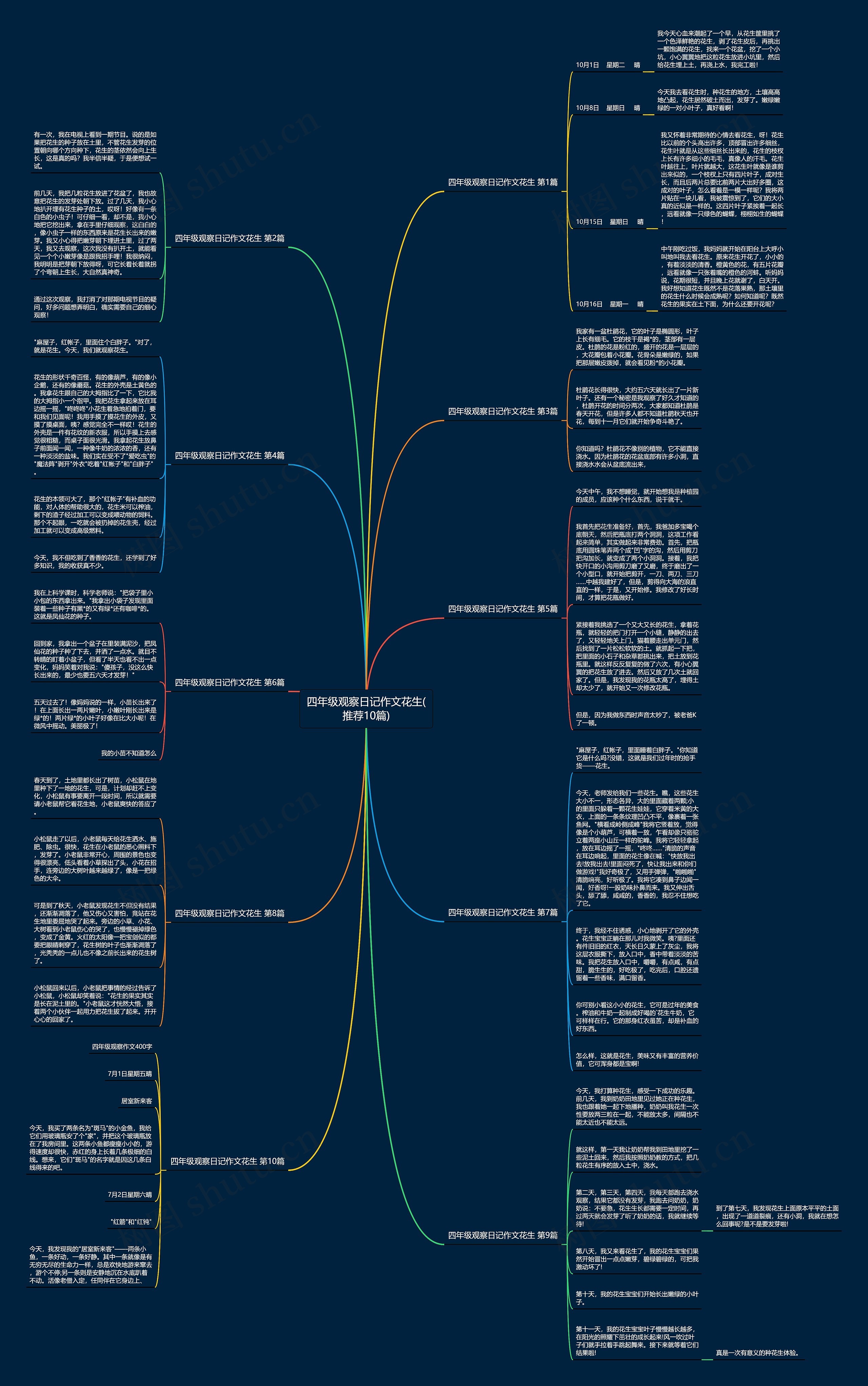 四年级观察日记作文花生(推荐10篇)思维导图
