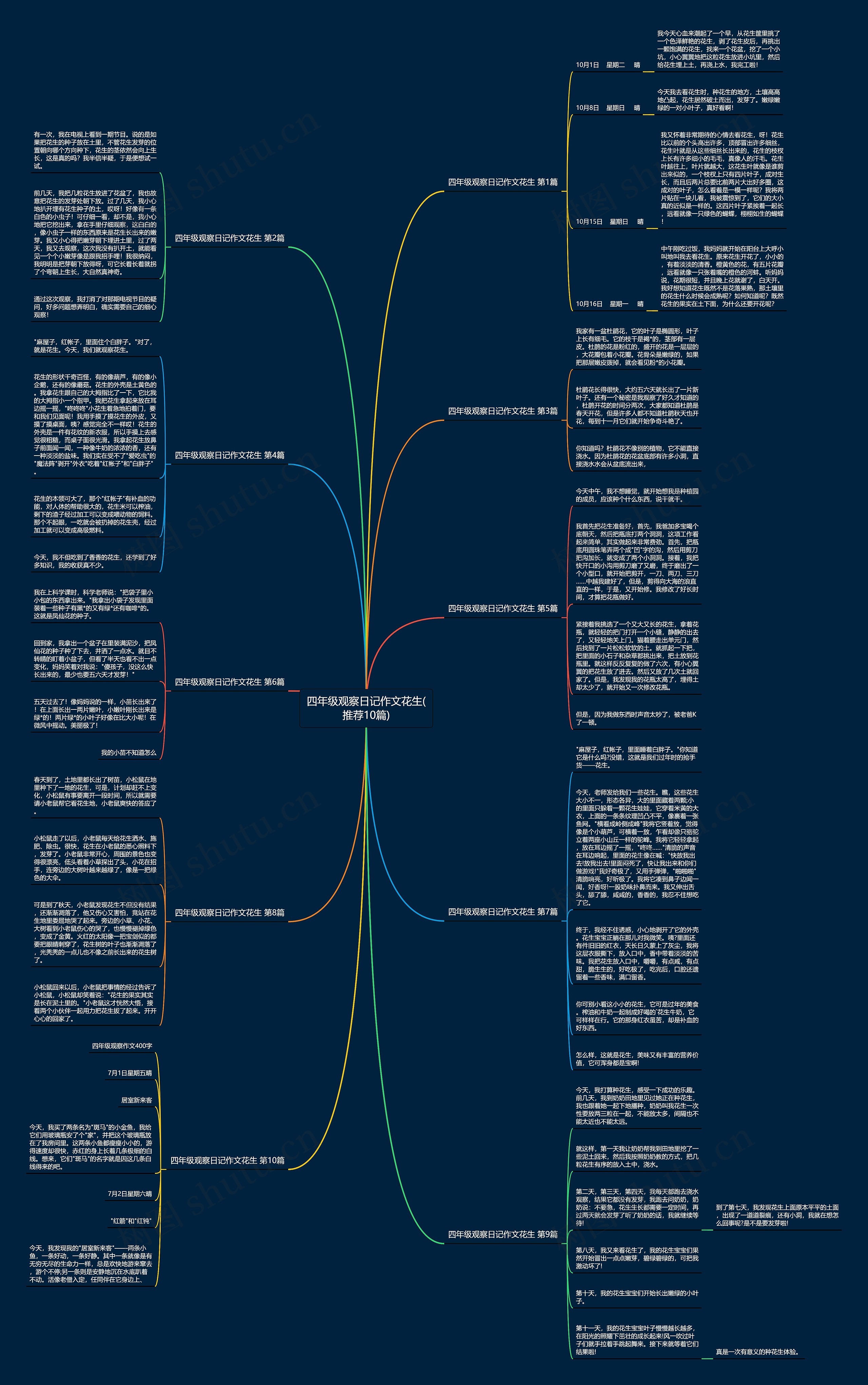 四年级观察日记作文花生(推荐10篇) 四年级观察日记作文花生(推荐10篇)