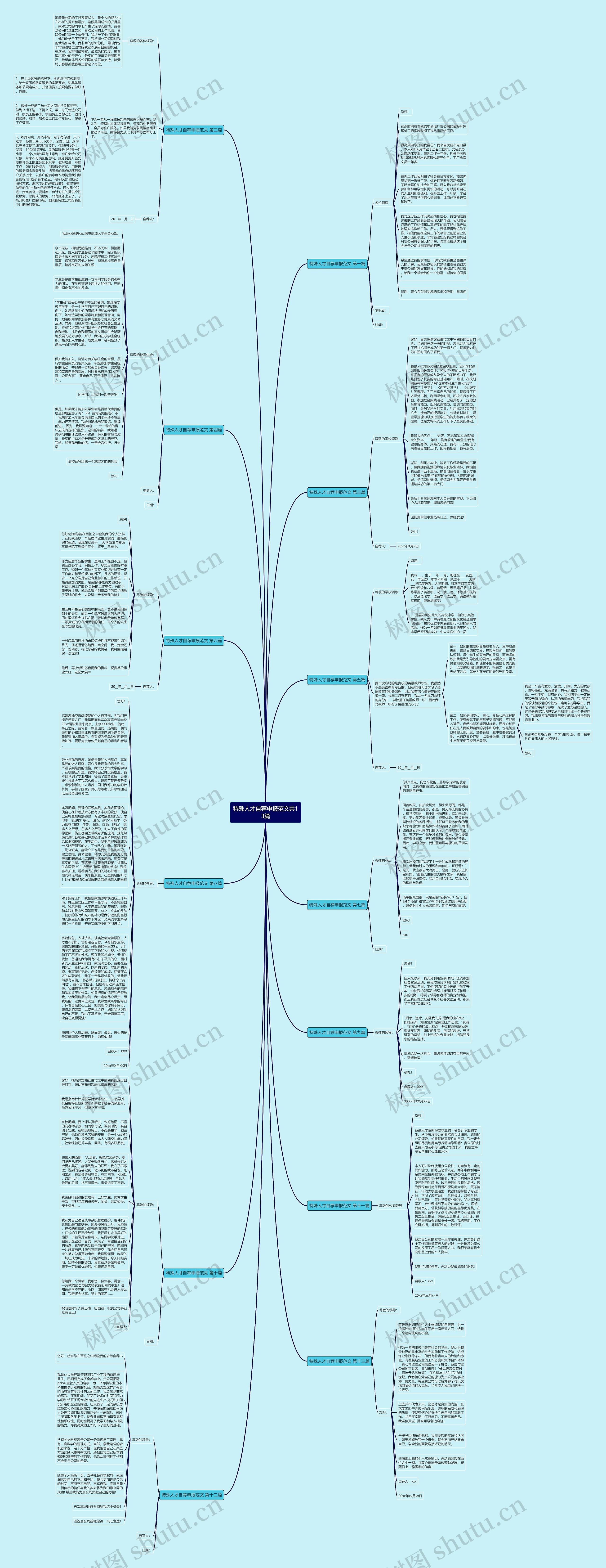 特殊人才自荐申报范文共13篇思维导图