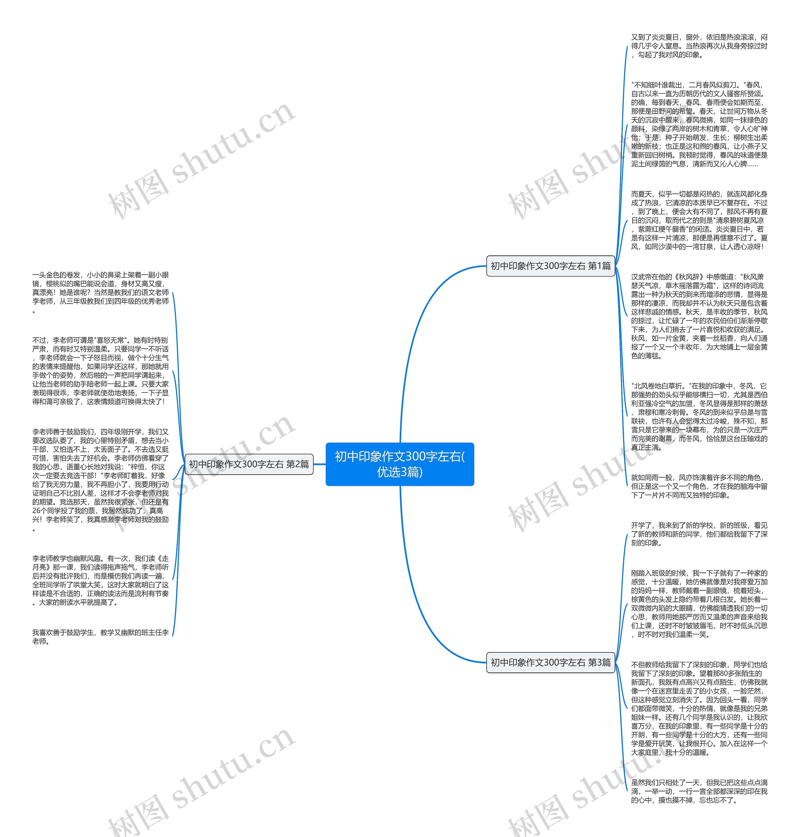 初中印象作文300字左右(优选3篇)思维导图