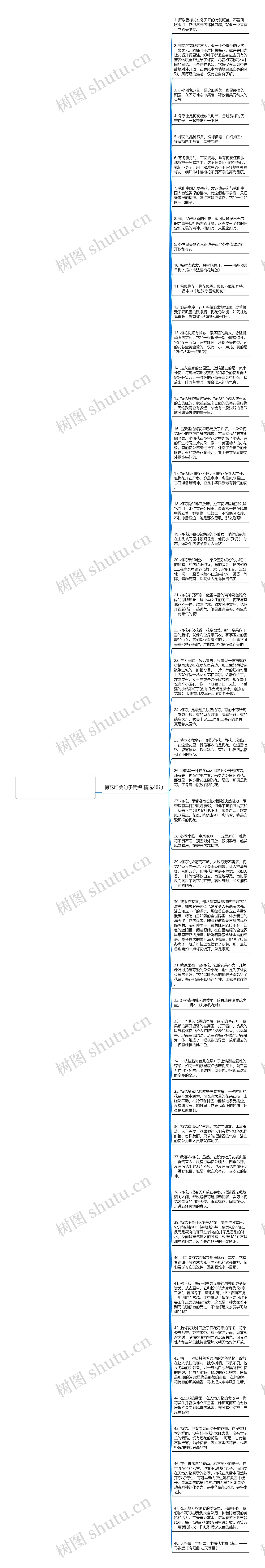 梅花唯美句子简短精选48句思维导图