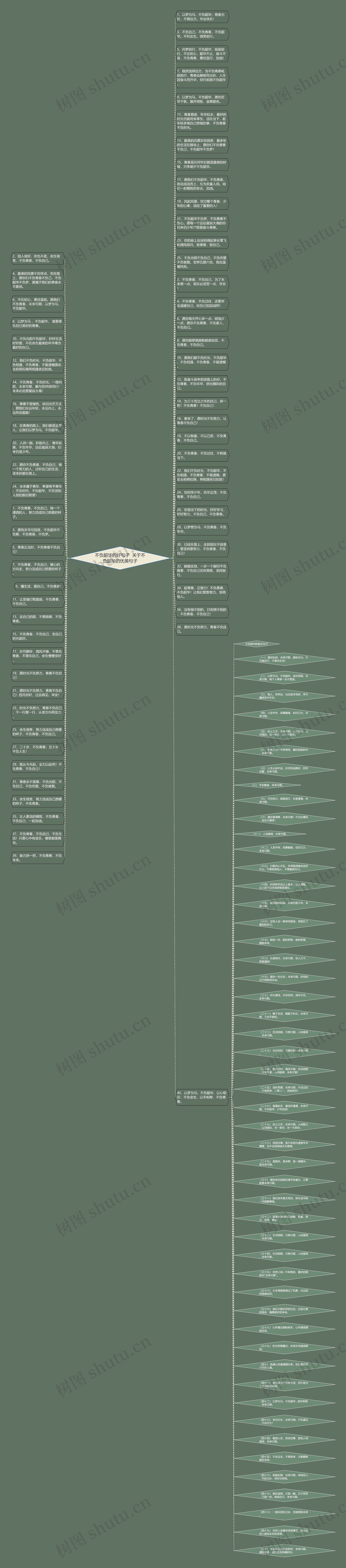 不负韶华的好句子  关于不负韶华的优美句子思维导图