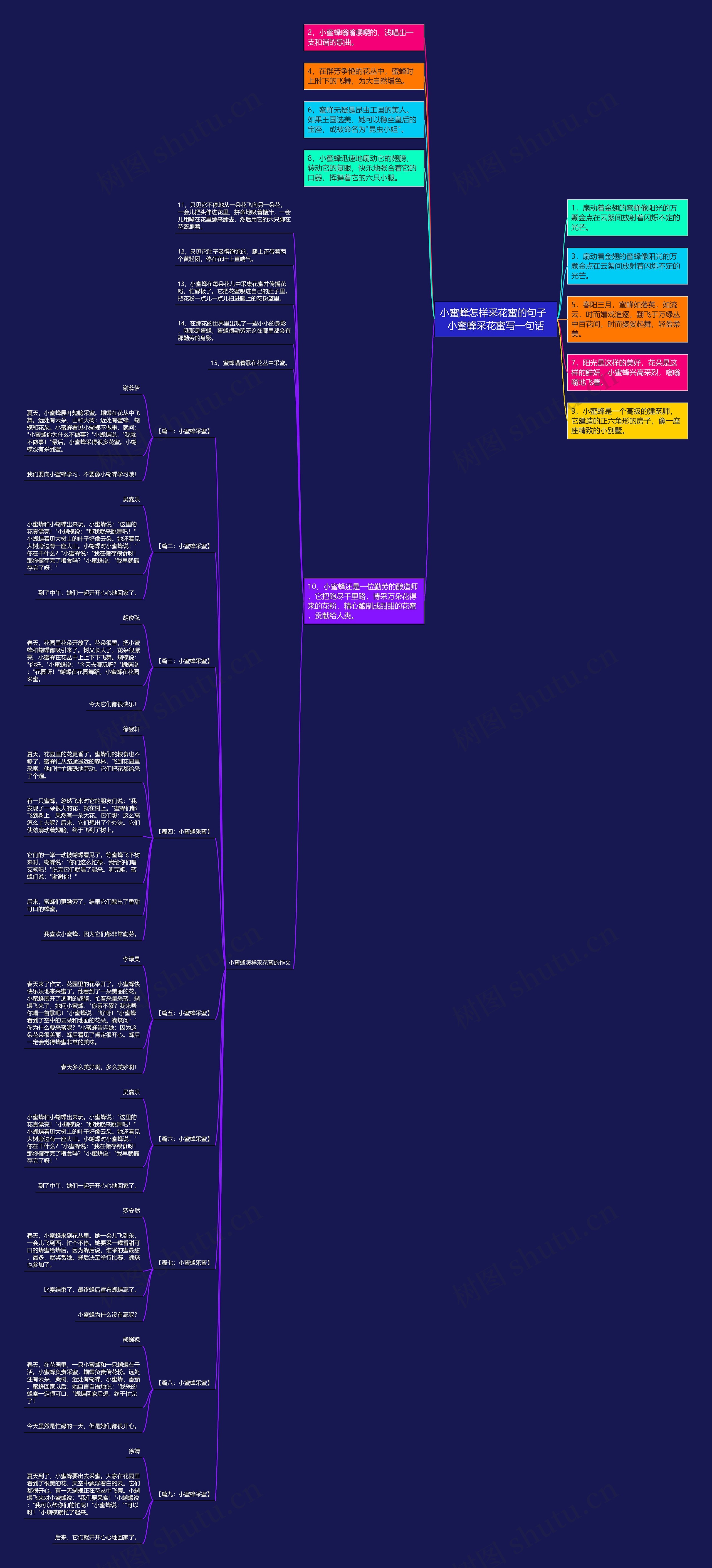 小蜜蜂怎样采花蜜的句子  小蜜蜂采花蜜写一句话思维导图