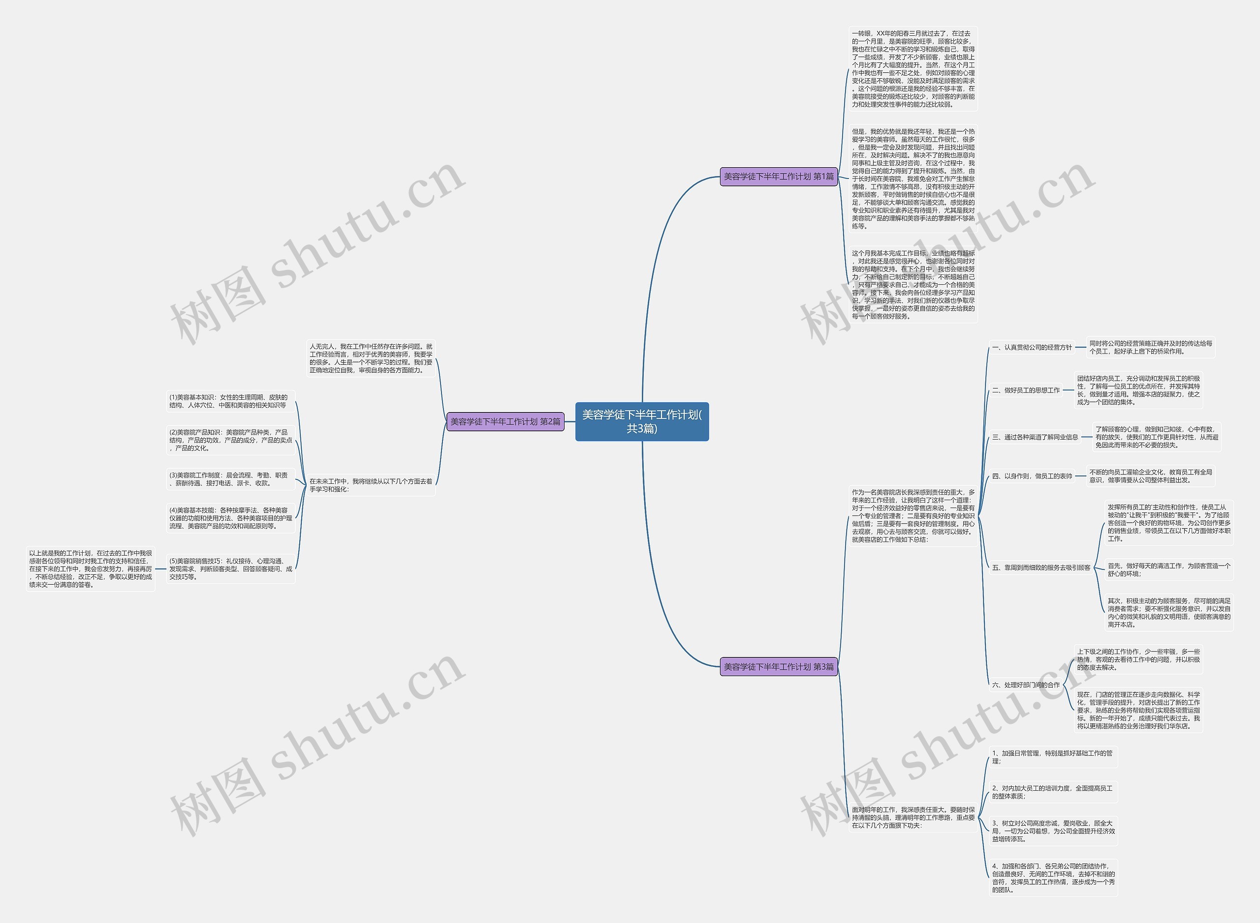 美容学徒下半年工作计划(共3篇)思维导图