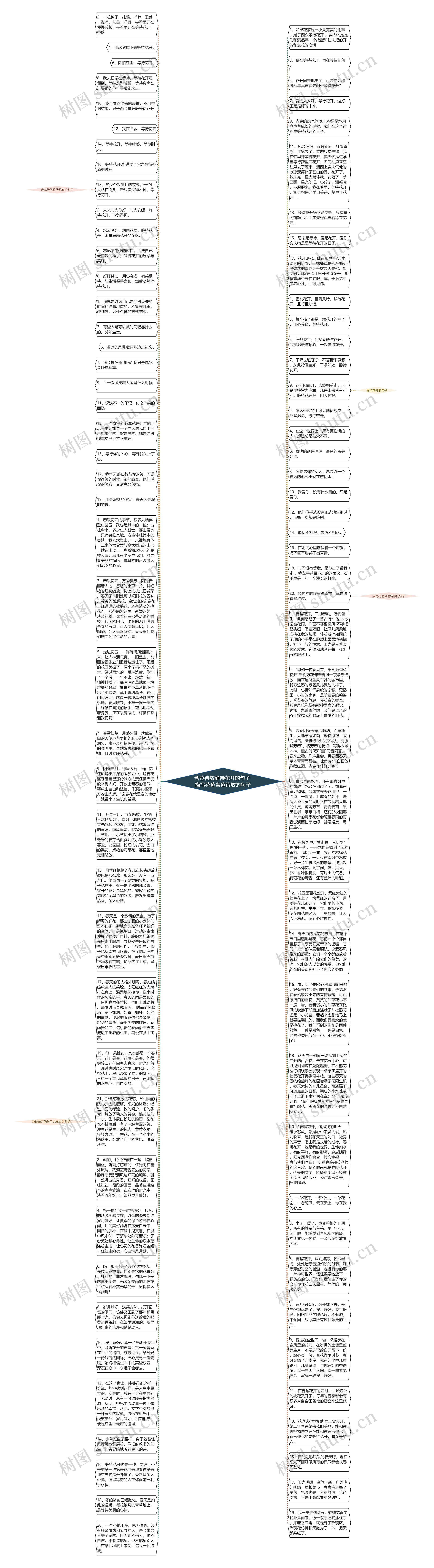 含苞待放静待花开的句子 描写花苞含苞待放的句子思维导图高清图 含苞待放静待花开的句子 描写花苞含苞待放的句子思维导图