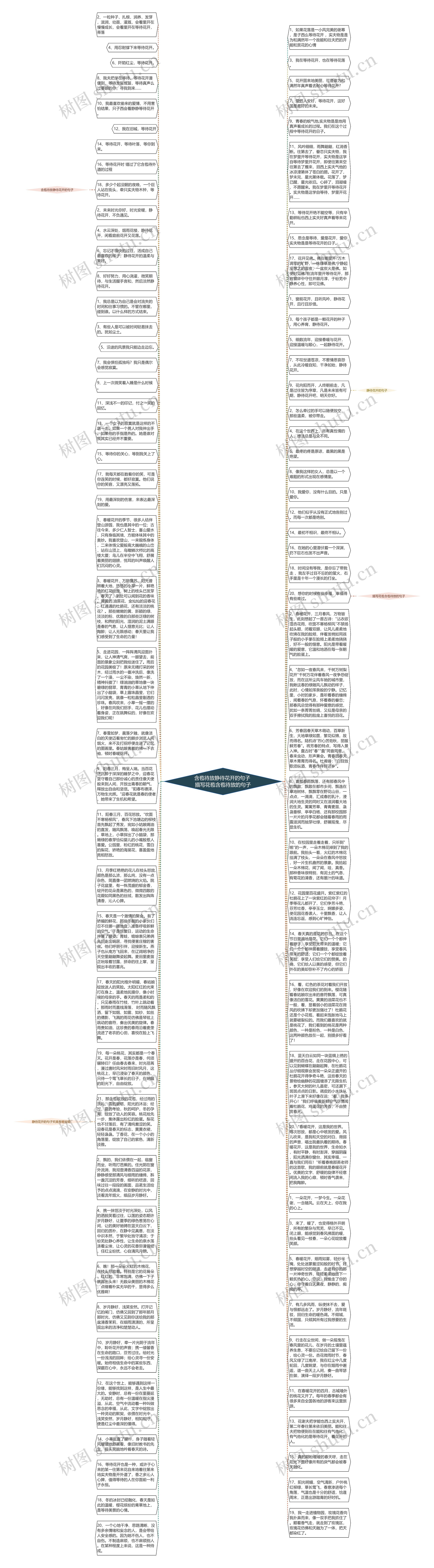 含苞待放静待花开的句子 描写花苞含苞待放的句子思维导图