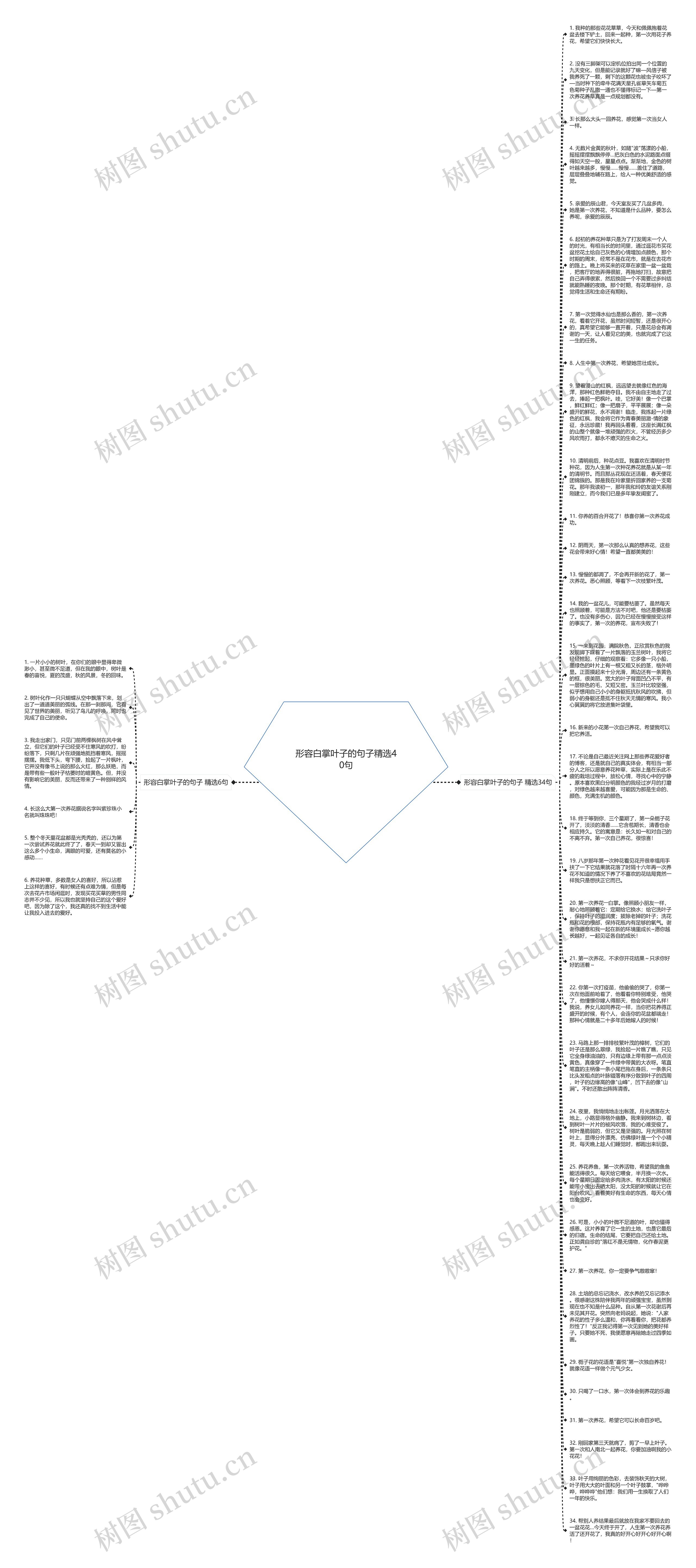 形容白掌叶子的句子精选40句思维导图