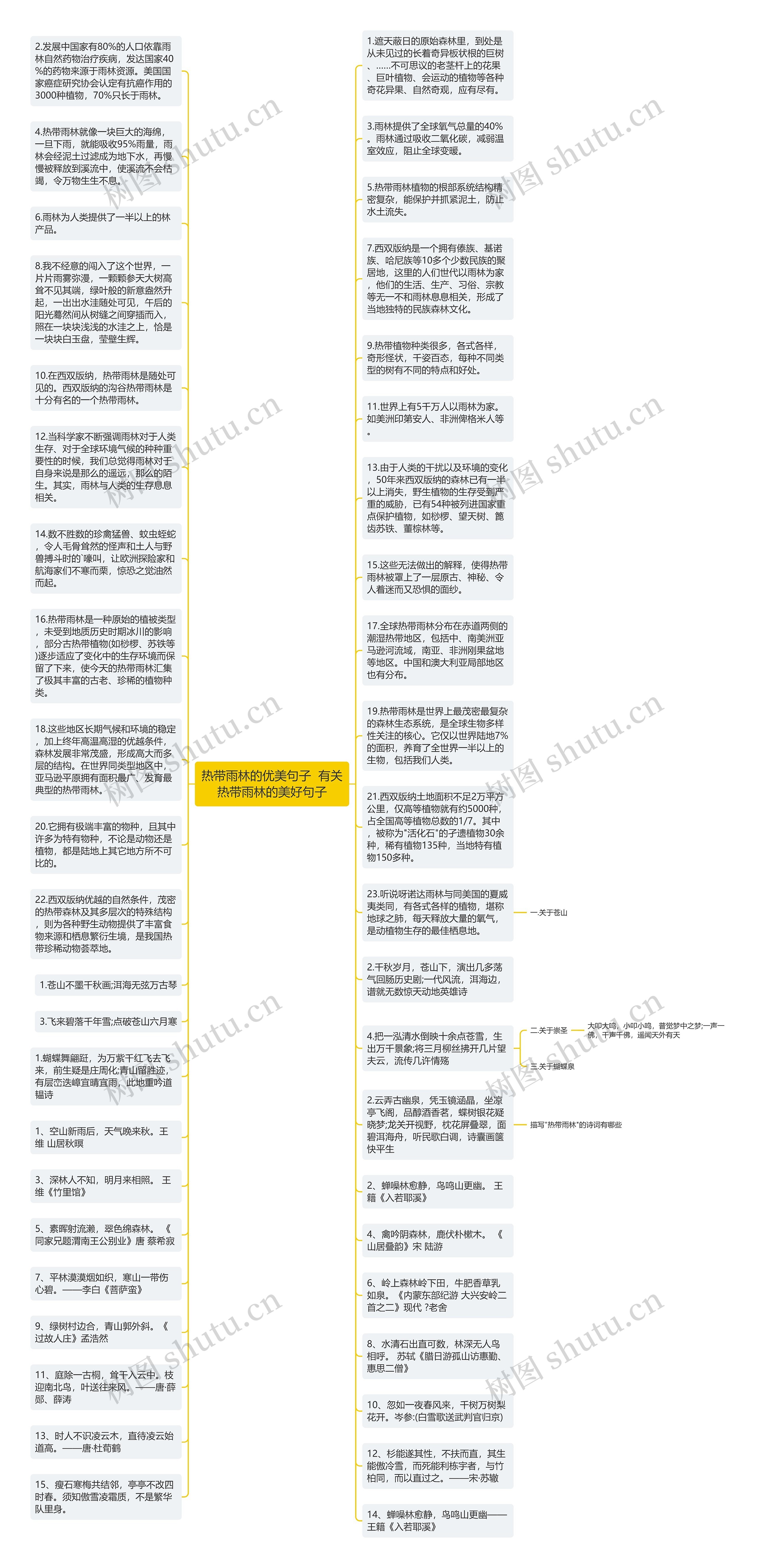 热带雨林的优美句子  有关热带雨林的美好句子思维导图