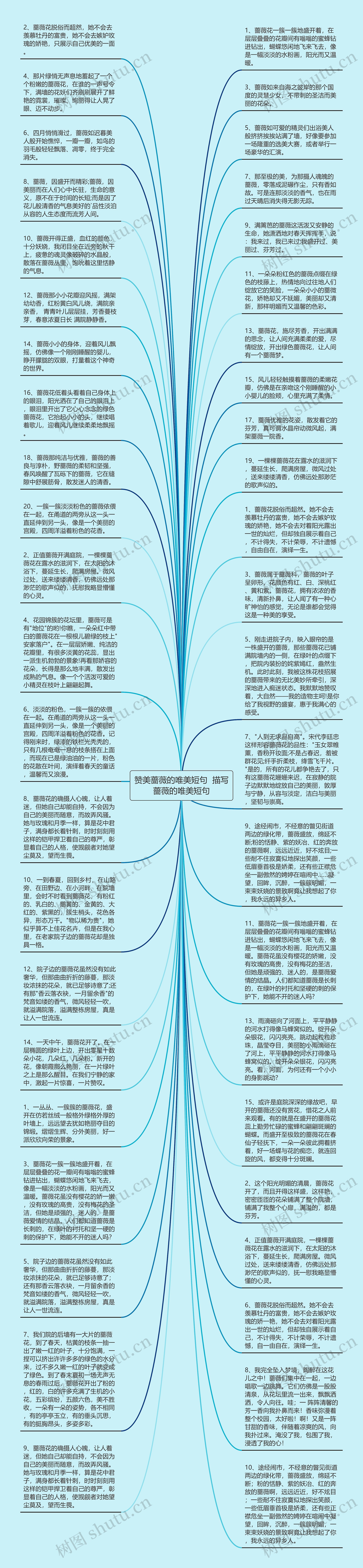 赞美蔷薇的唯美短句  描写蔷薇的唯美短句思维导图