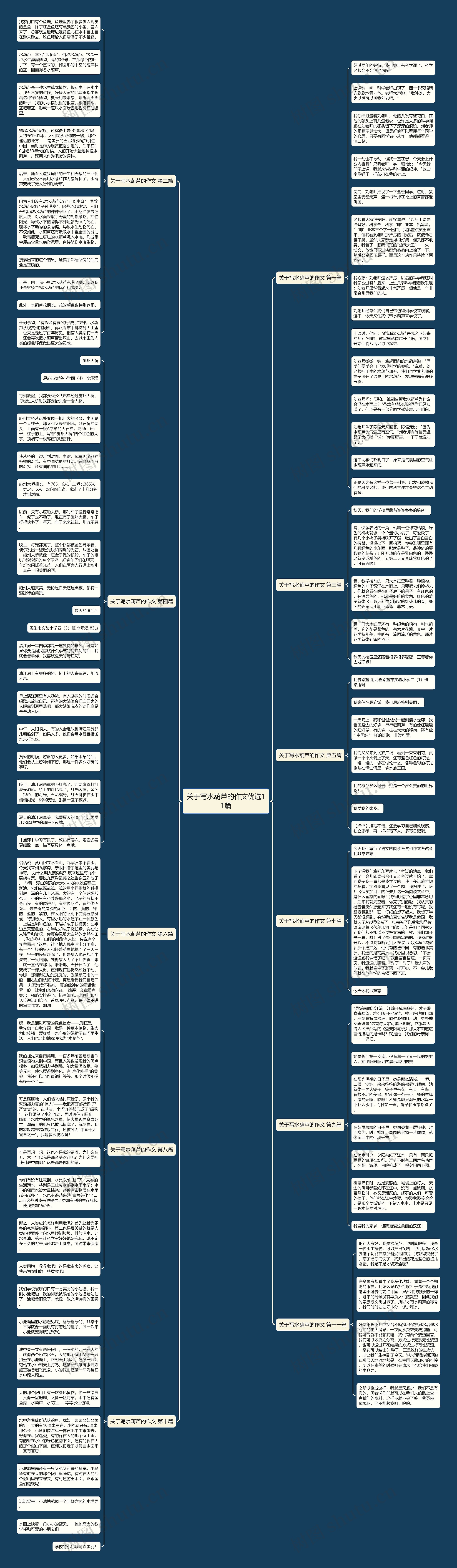 关于写水葫芦的作文优选11篇思维导图