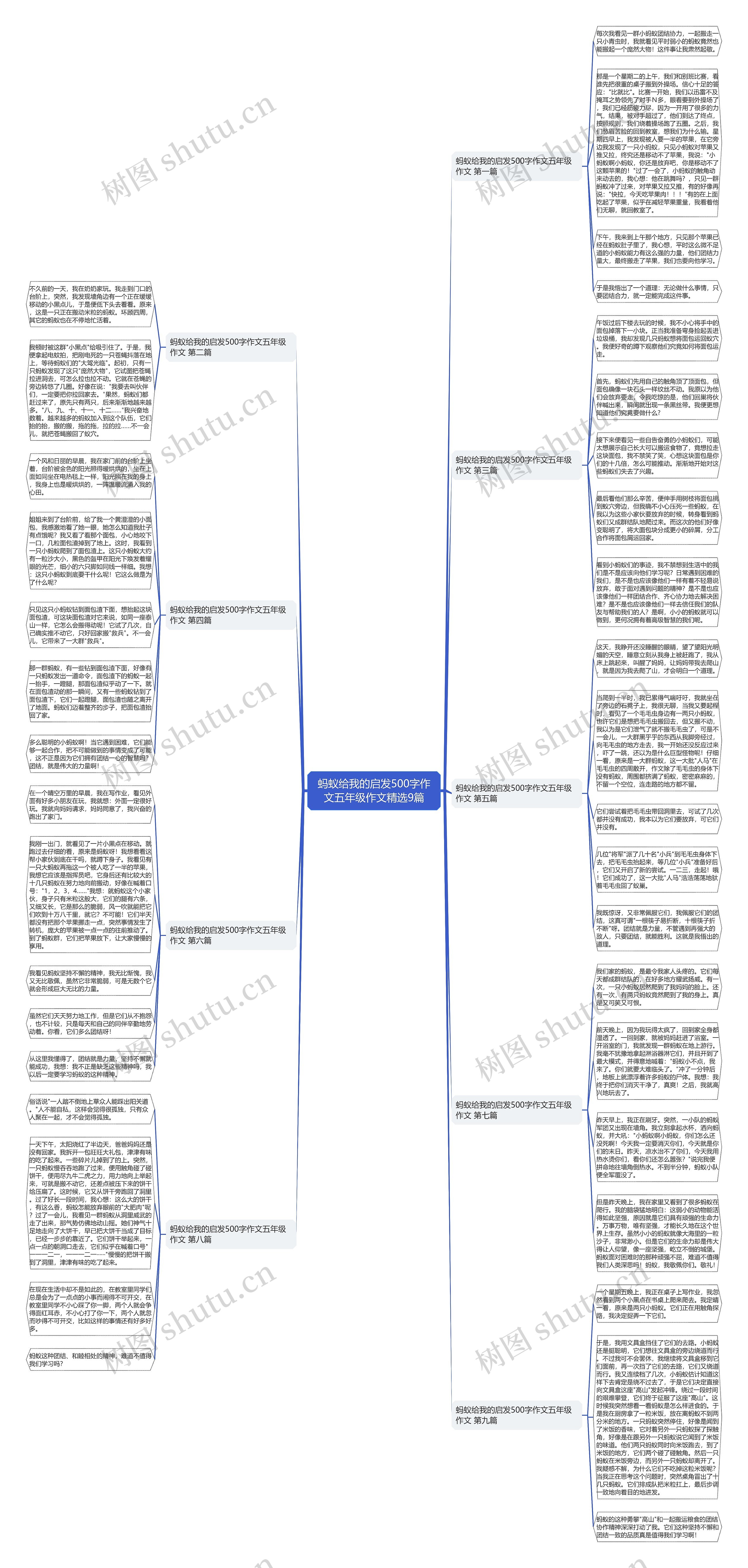 蚂蚁给我的启发500字作文五年级作文精选9篇 蚂蚁给我的启发500字作文五年级作文精选9篇