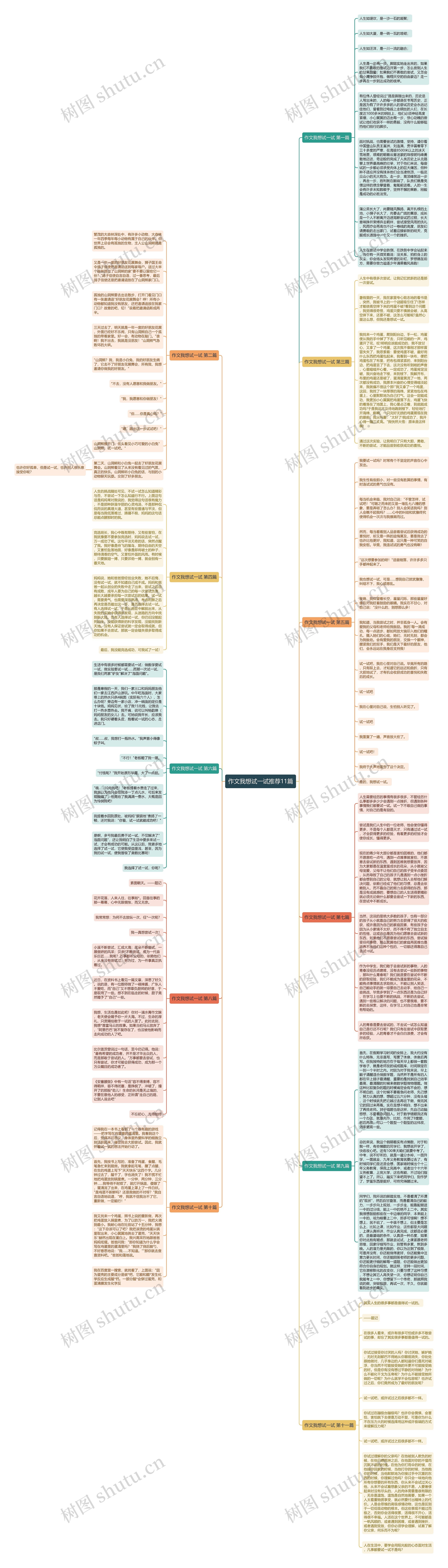 作文我想试一试推荐11篇思维导图