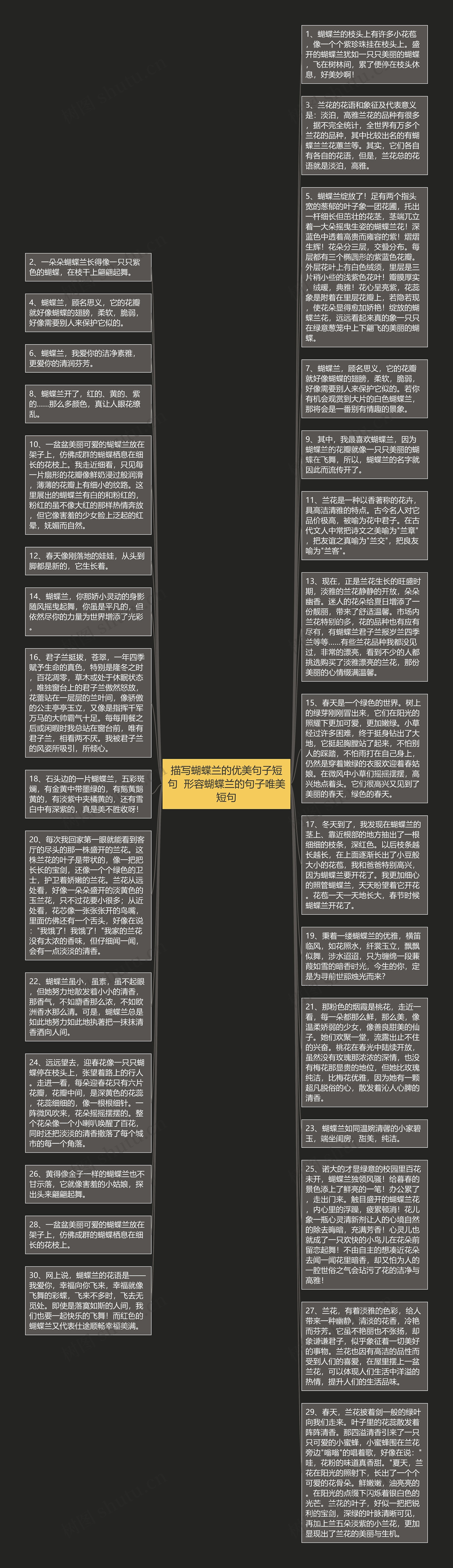 描写蝴蝶兰的优美句子短句  形容蝴蝶兰的句子唯美短句