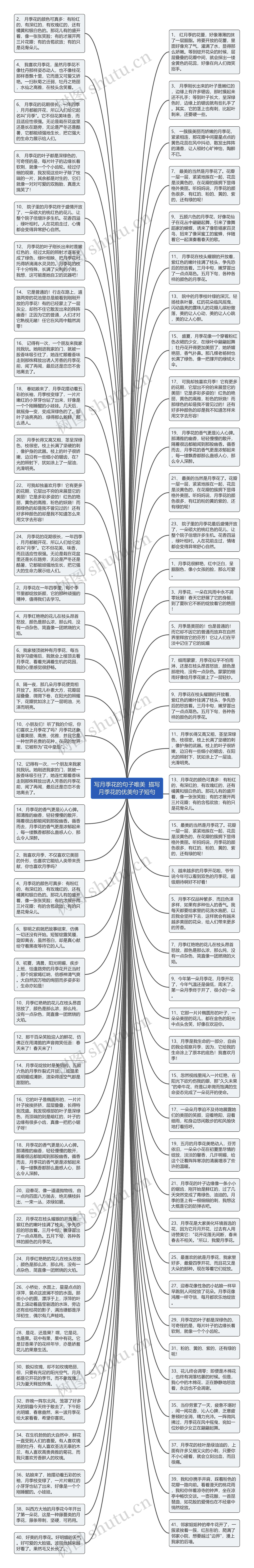 写月季花的句子唯美  描写月季花的优美句子短句思维导图