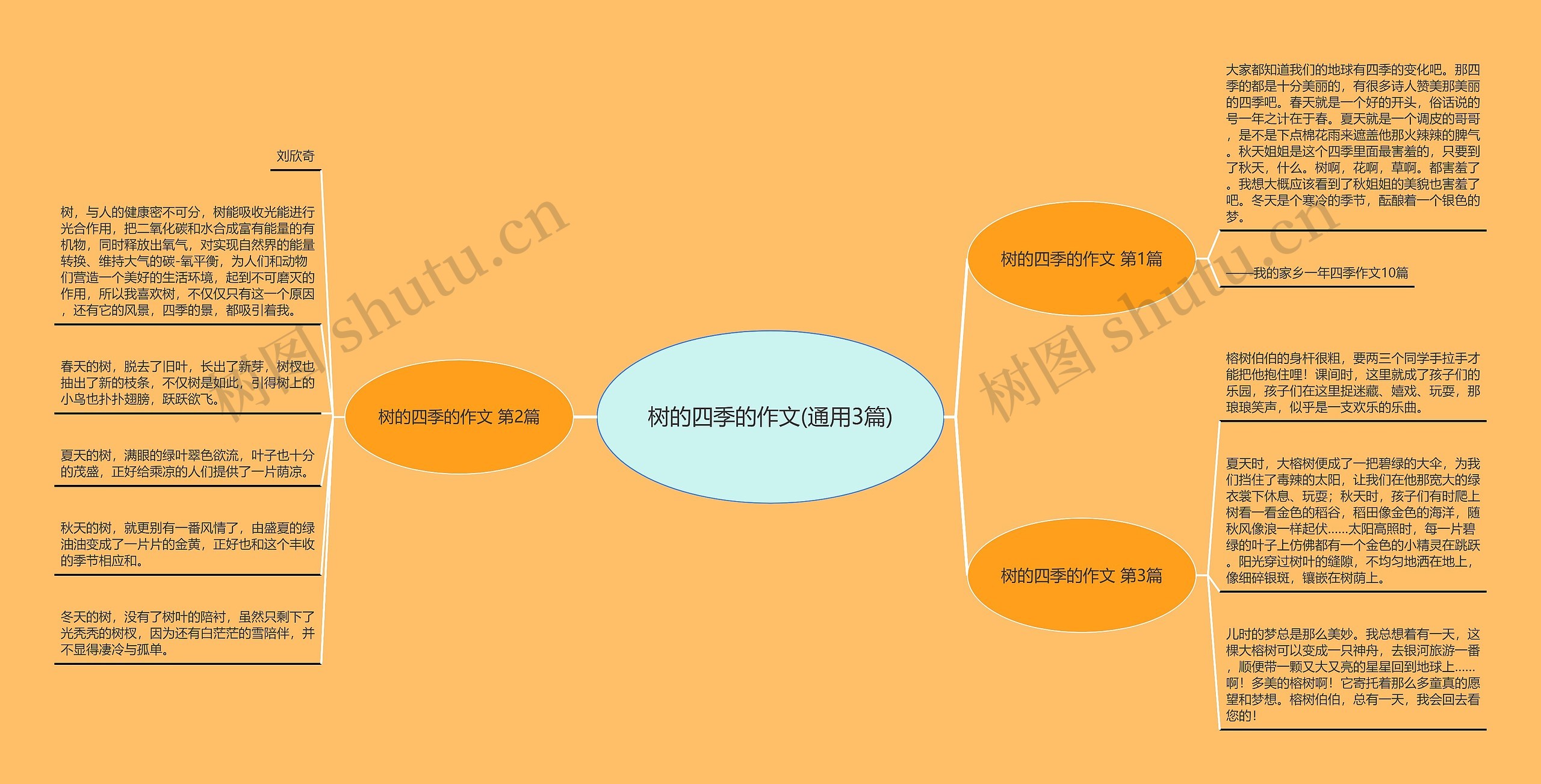 树的四季的作文(通用3篇)思维导图