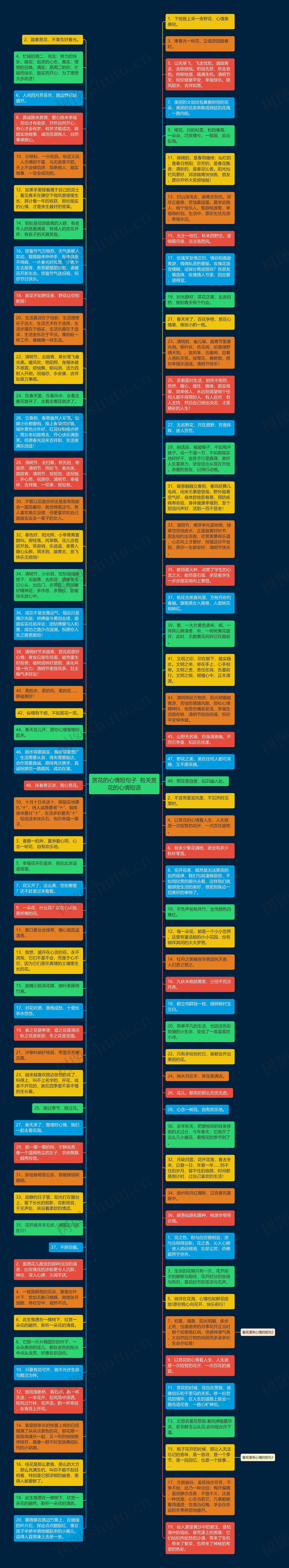 赏花的心情短句子  有关赏花的心情短语思维导图