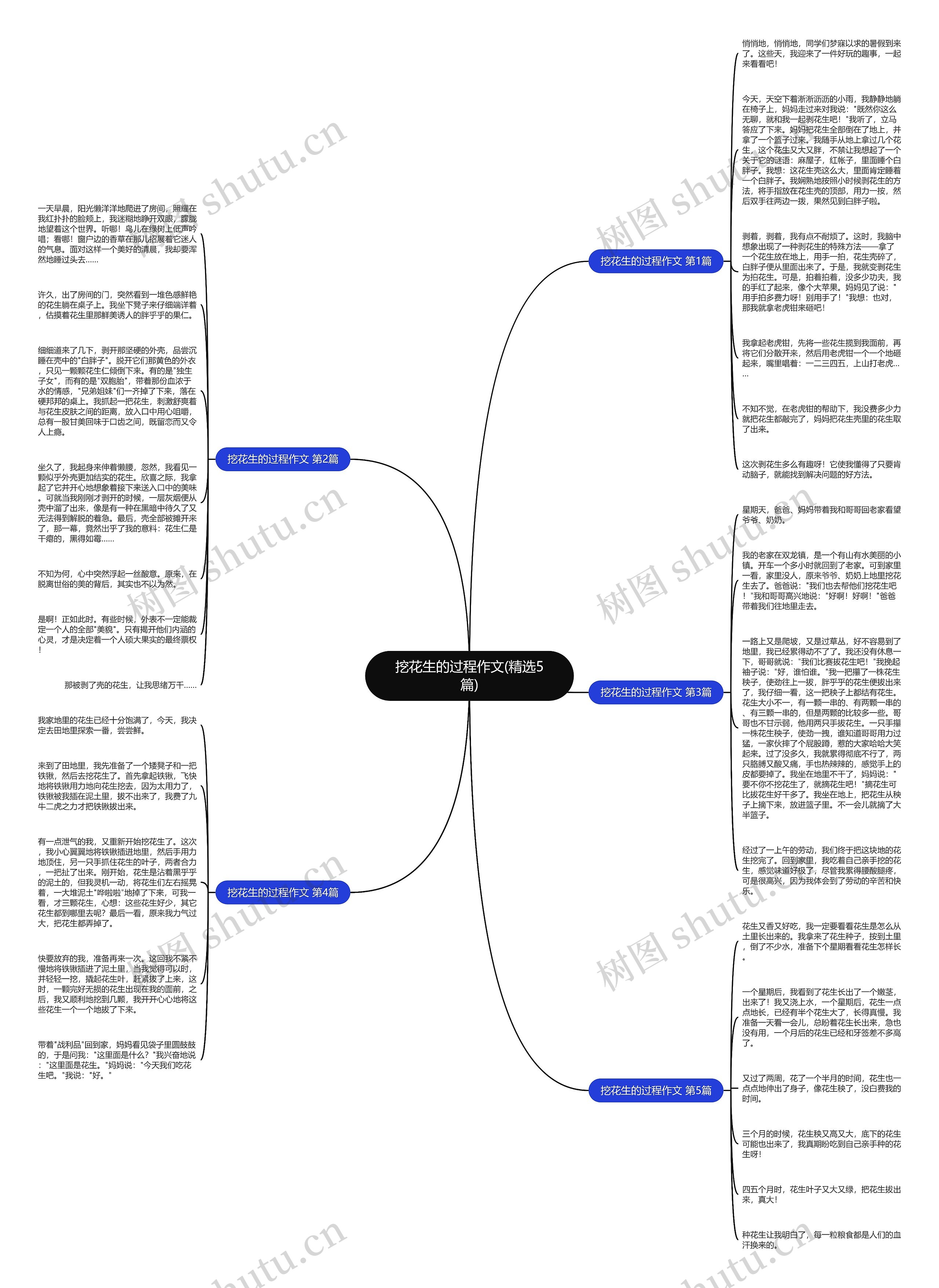 挖花生的过程作文(精选5篇)思维导图