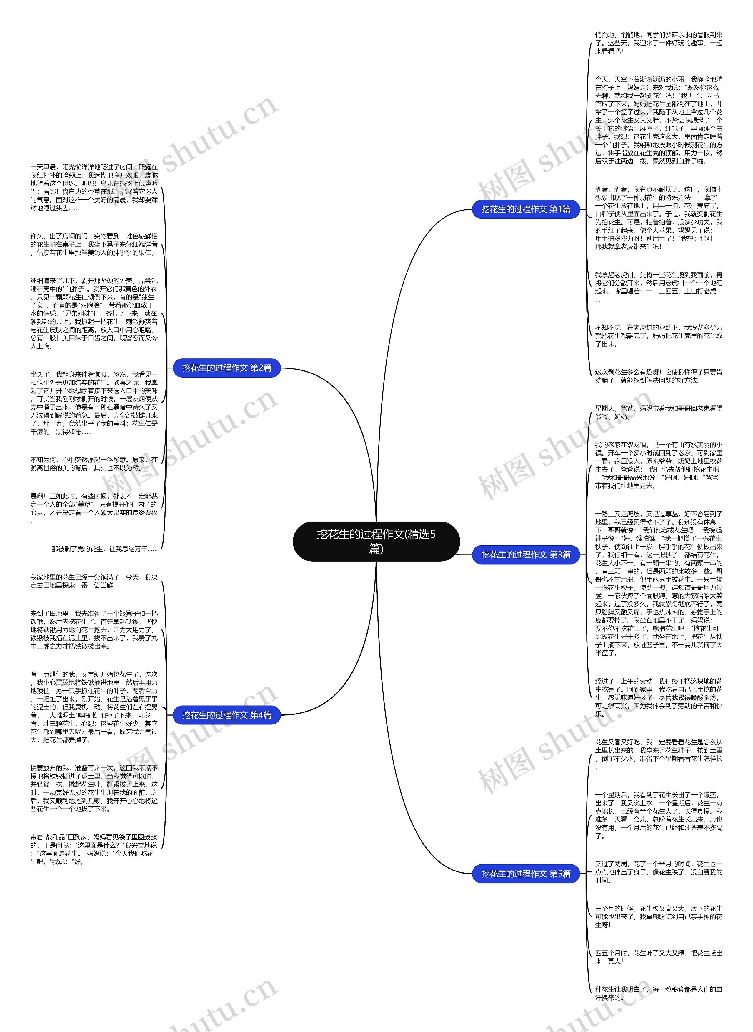 挖花生的过程作文(精选5篇) 挖花生的过程作文(精选5篇)