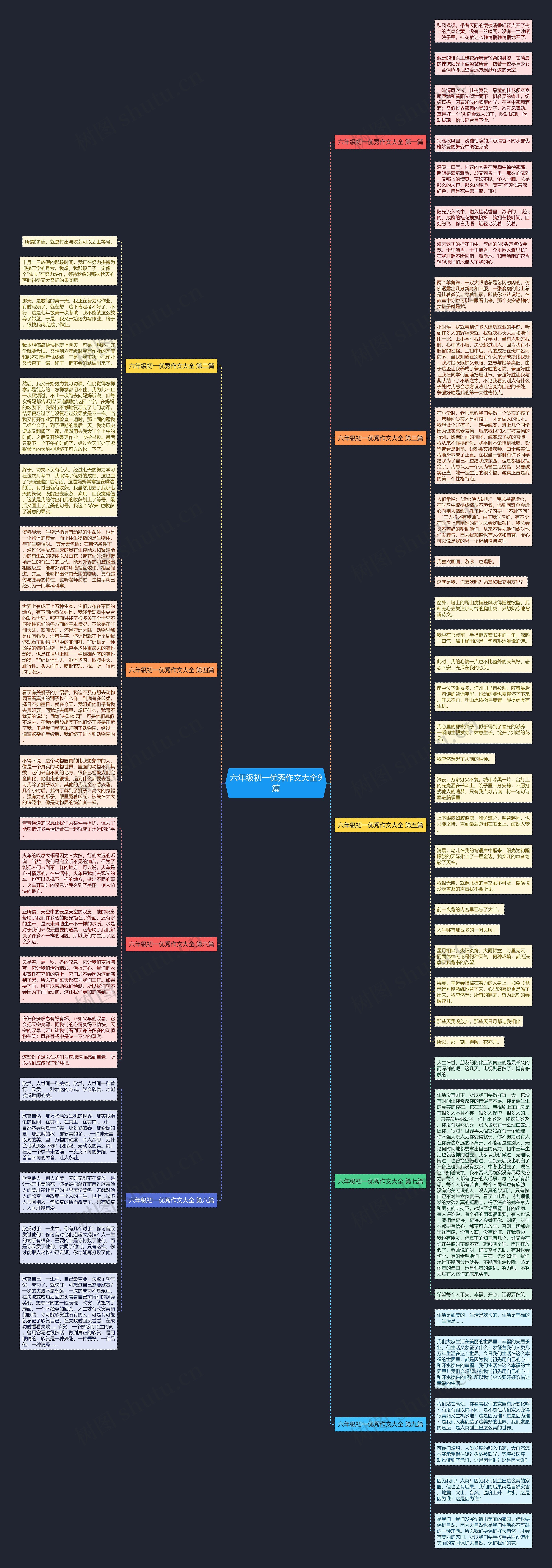 六年级初一优秀作文大全9篇思维导图