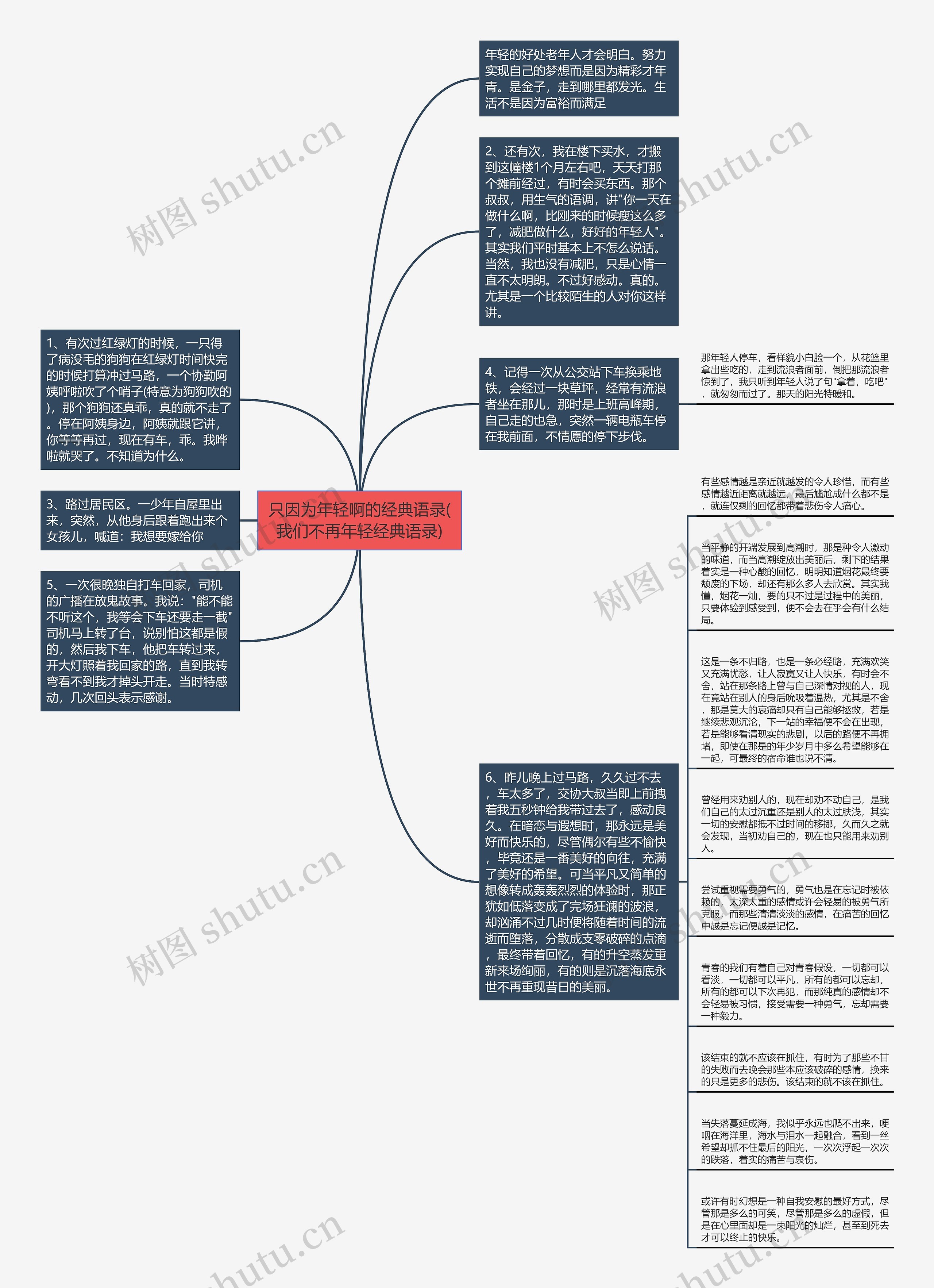 只因为年轻啊的经典语录(我们不再年轻经典语录)思维导图