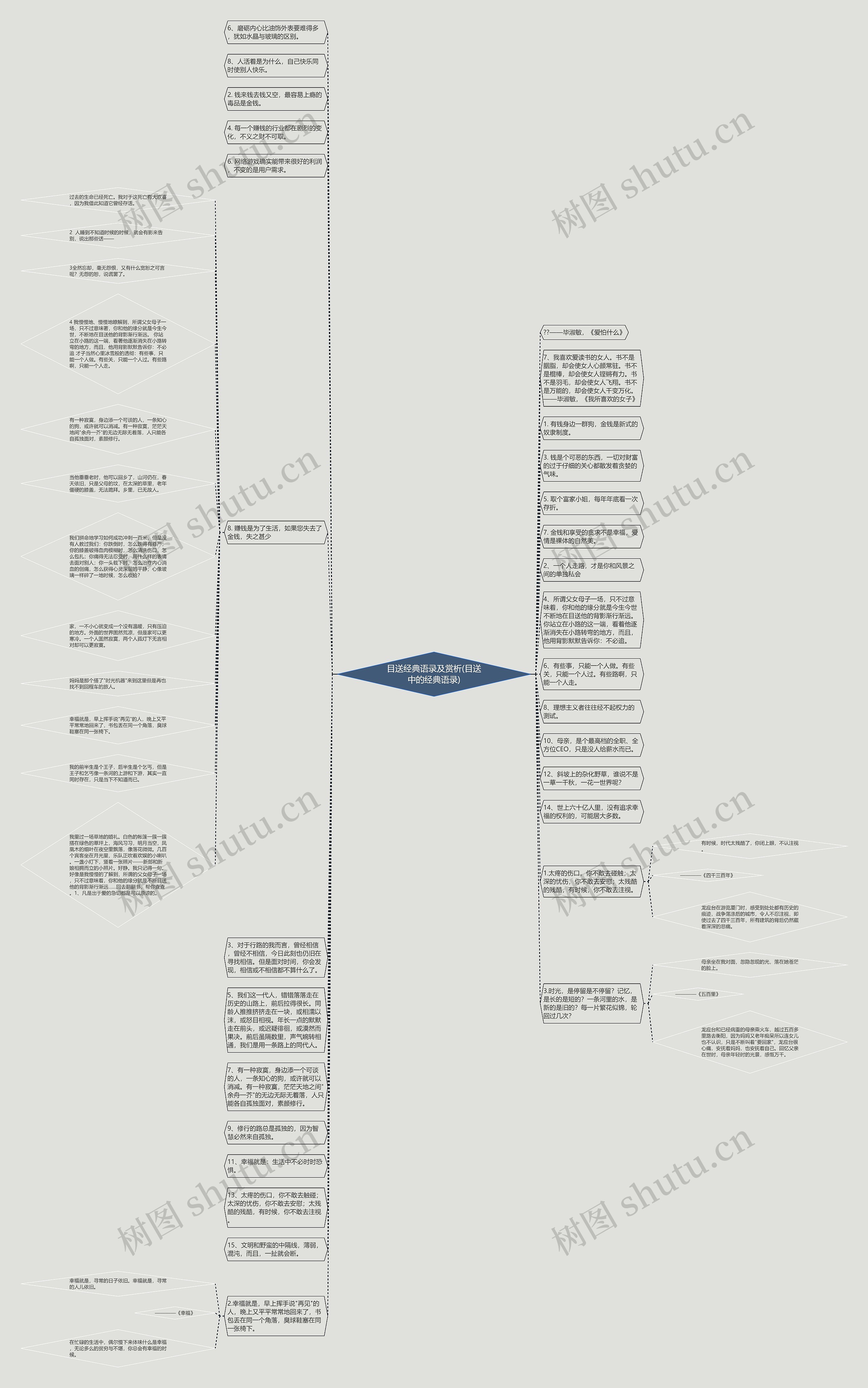 目送经典语录及赏析(目送中的经典语录)思维导图