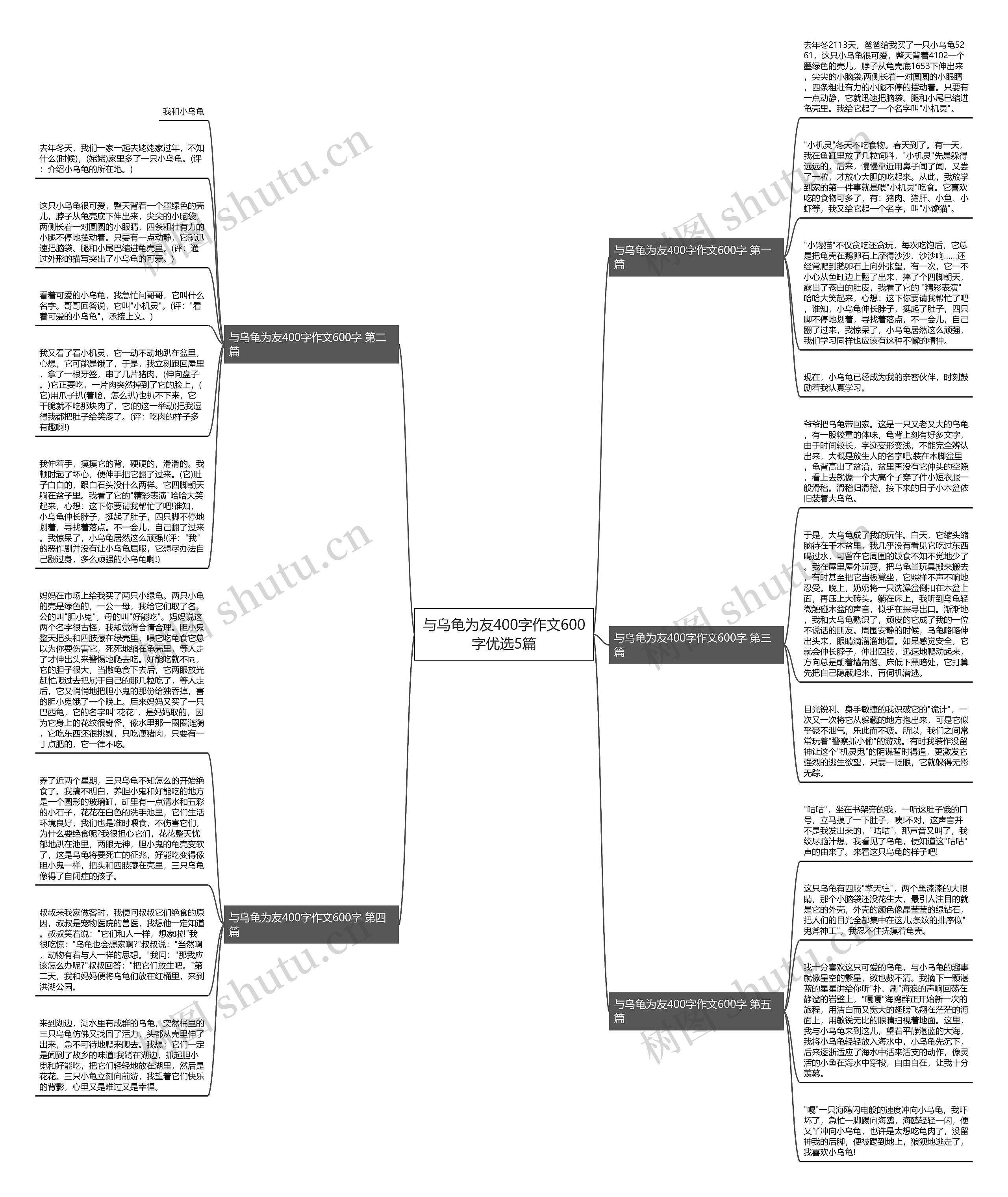 与乌龟为友400字作文600字优选5篇思维导图