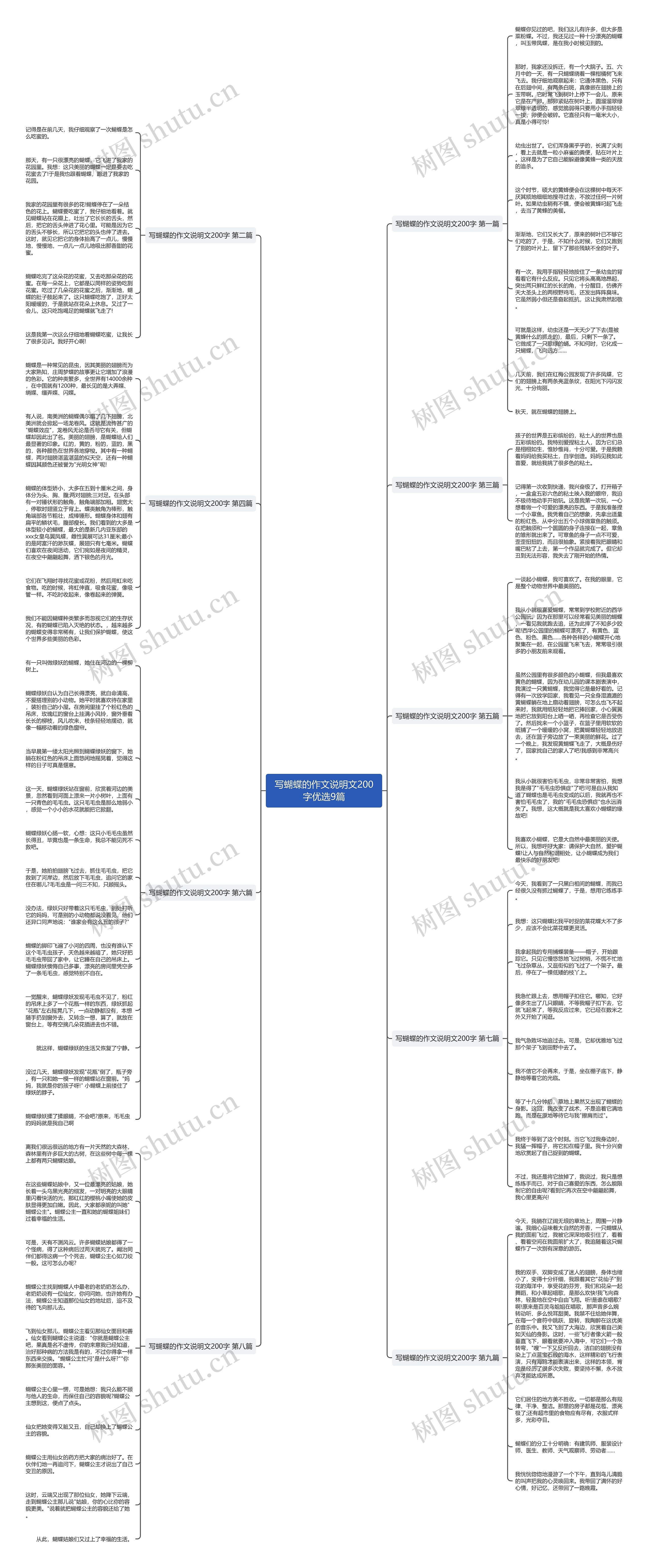 写蝴蝶的作文说明文200字优选9篇思维导图