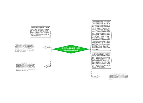 什么是冰糯种翡翠   如何选购冰糯种翡翠手镯 思维导图