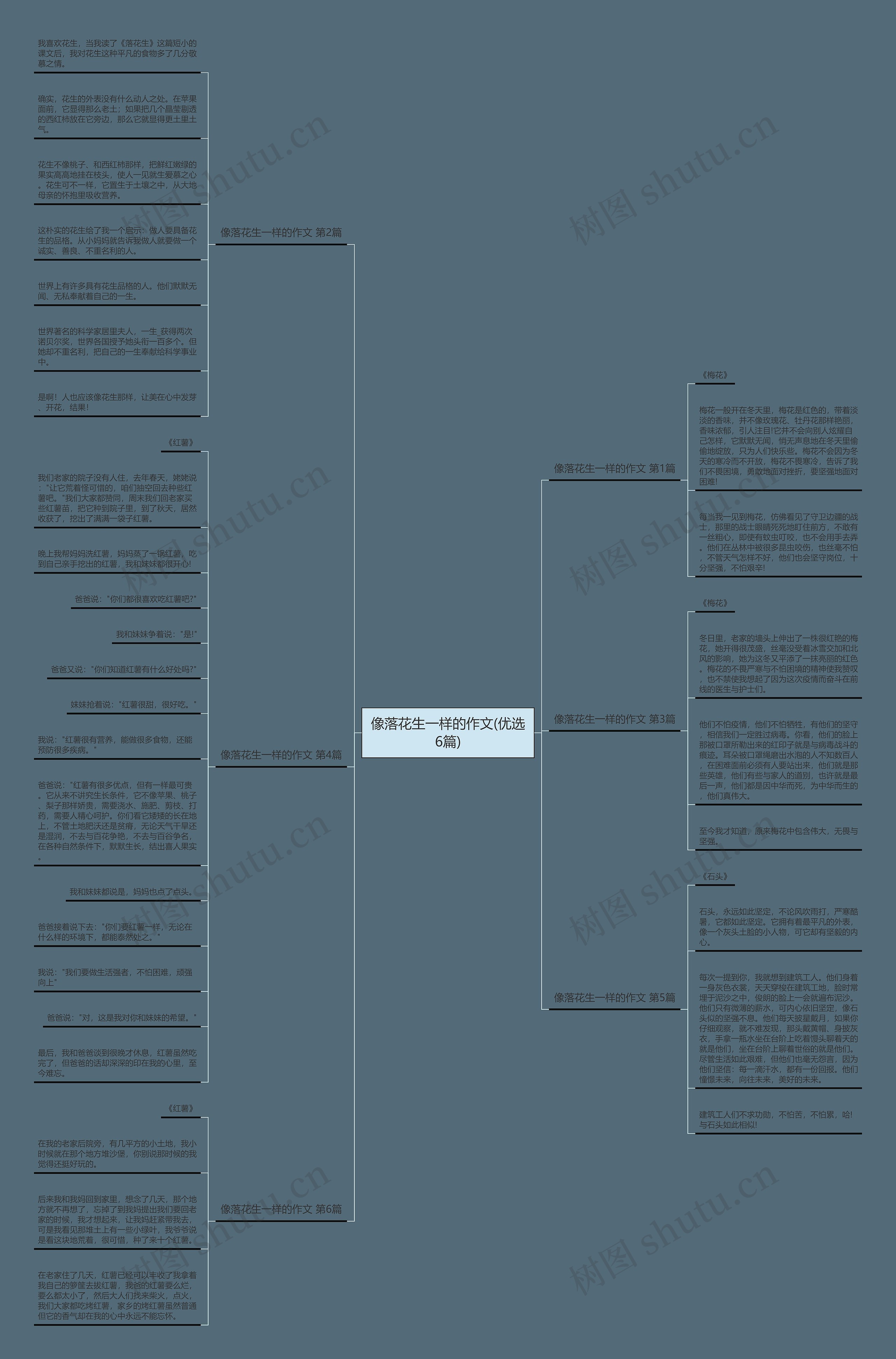 像落花生一样的作文(优选6篇)思维导图