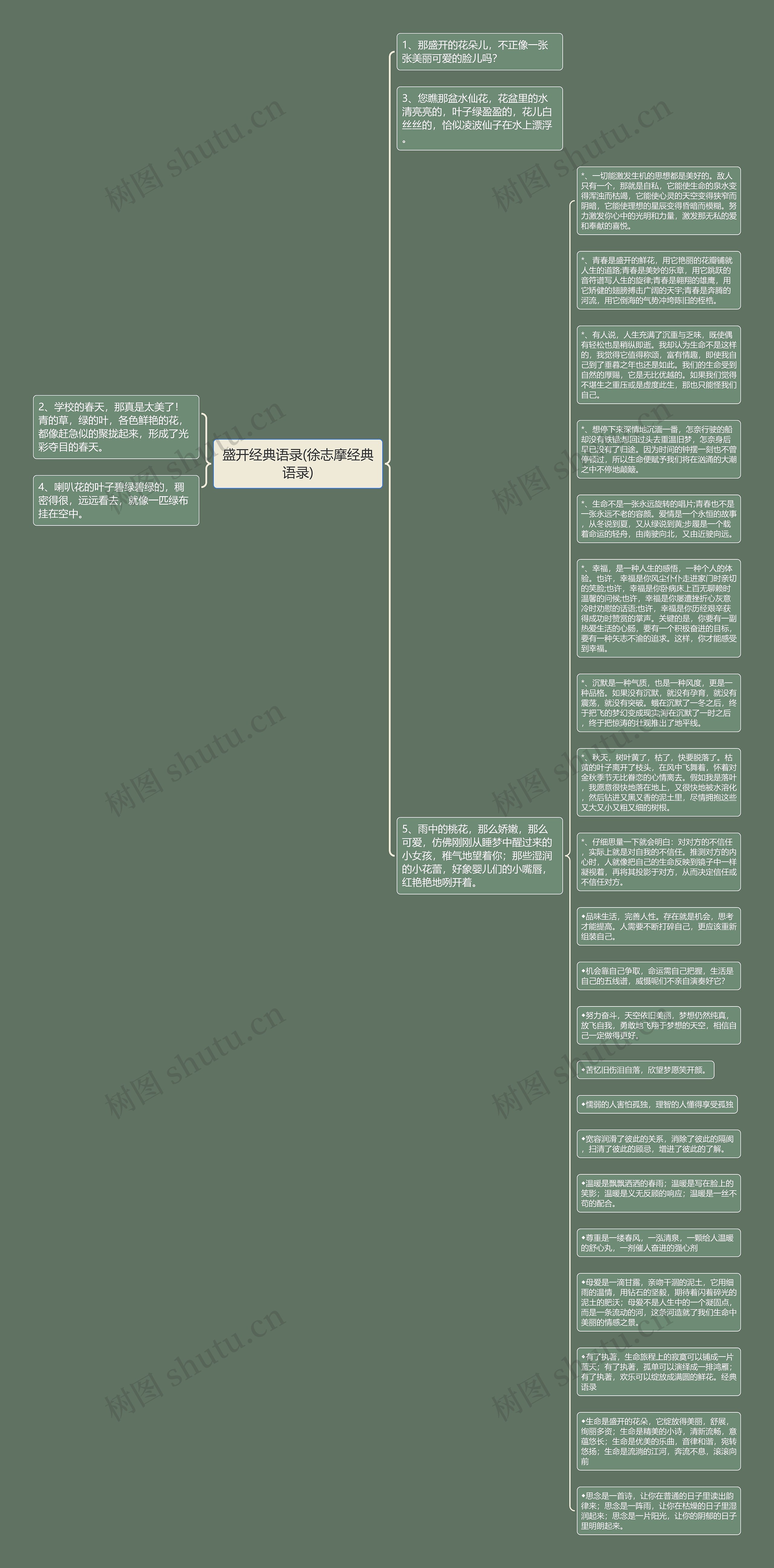 盛开经典语录(徐志摩经典语录)思维导图