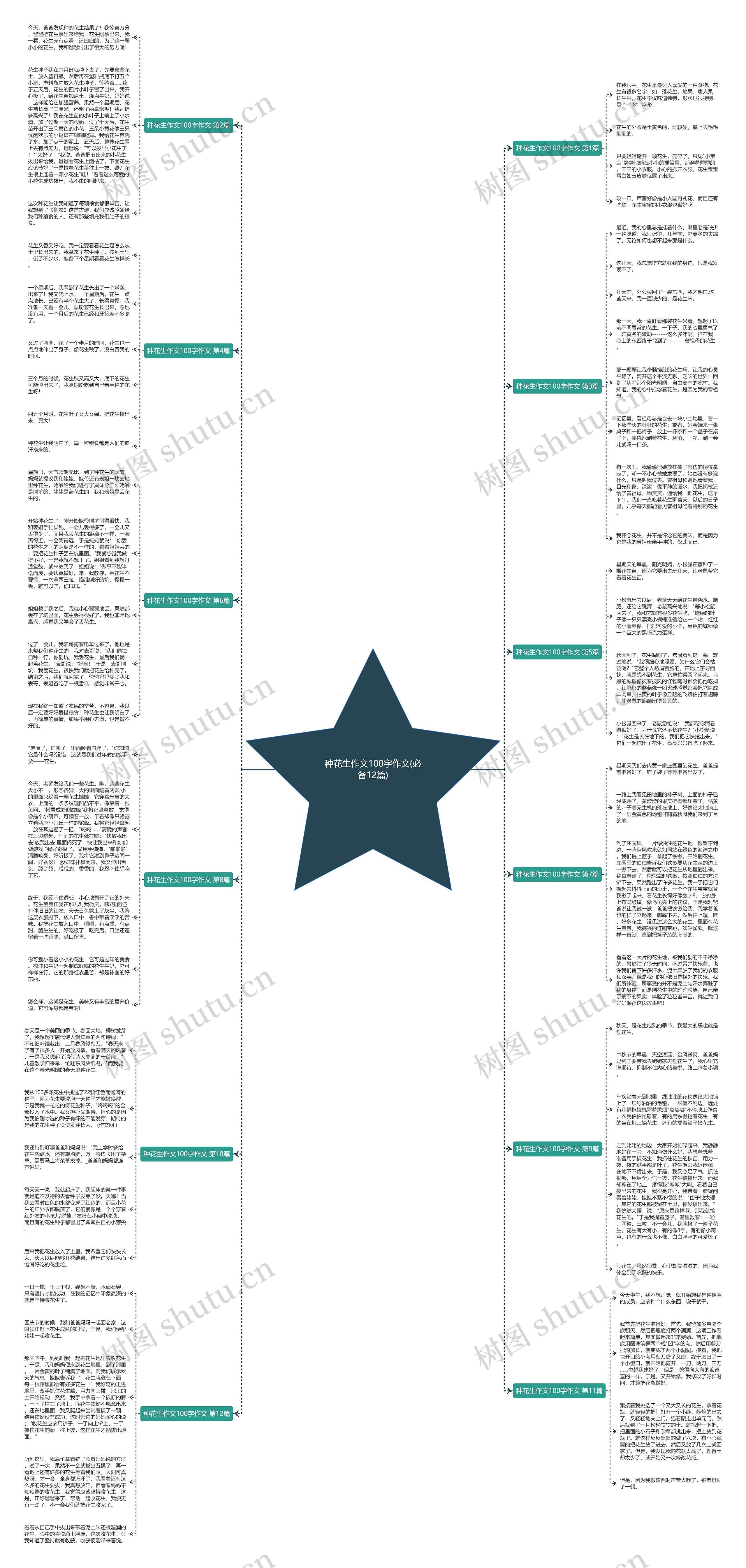 种花生作文100字作文(必备12篇)思维导图