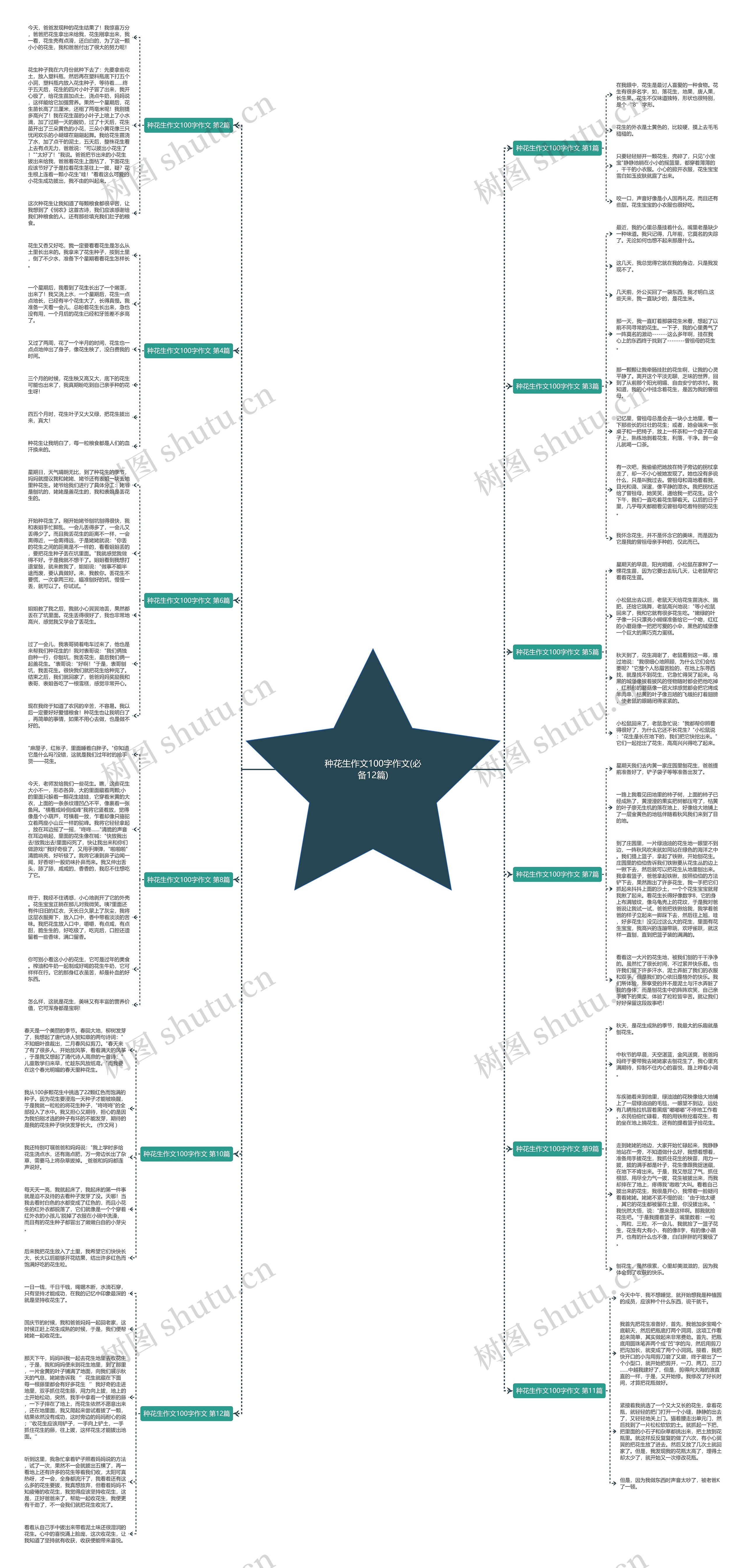 种花生作文100字作文(必备12篇) 种花生作文100字作文(必备12篇)