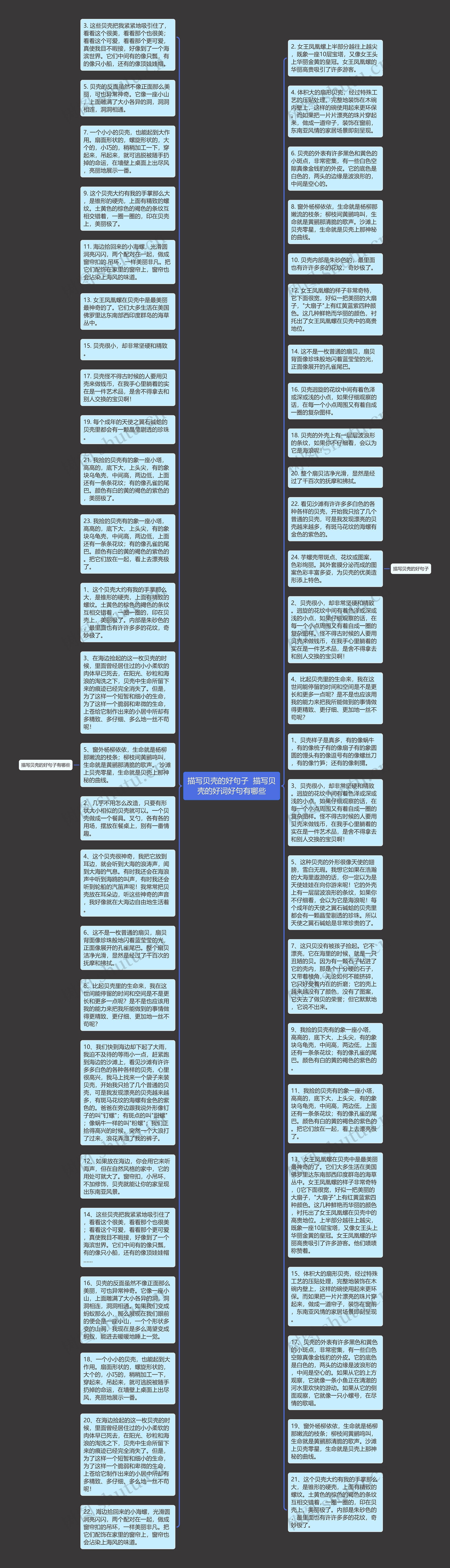 描写贝壳的好句子  描写贝壳的好词好句有哪些思维导图