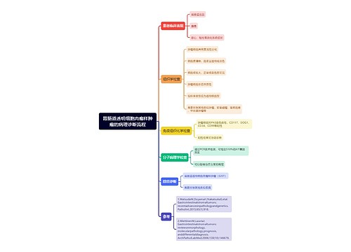胃肠道透明细胞肉瘤样肿瘤的病理诊断流程思维导图