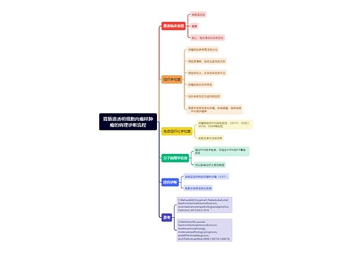 胃肠道透明细胞肉瘤样肿瘤的病理诊断流程 胃肠道透明细胞肉瘤样肿瘤的病理诊断流程