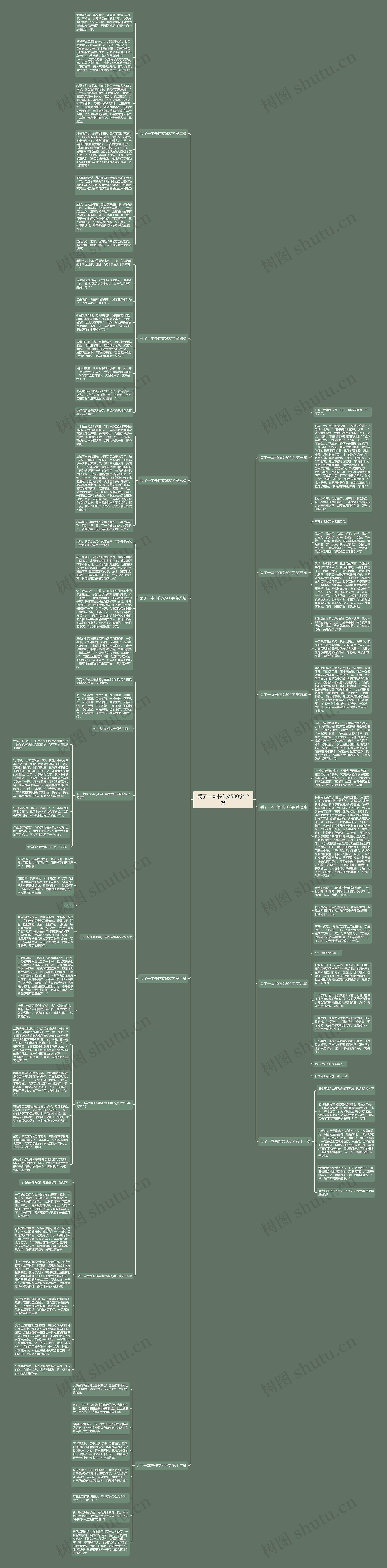 丢了一本书作文500字12篇思维导图