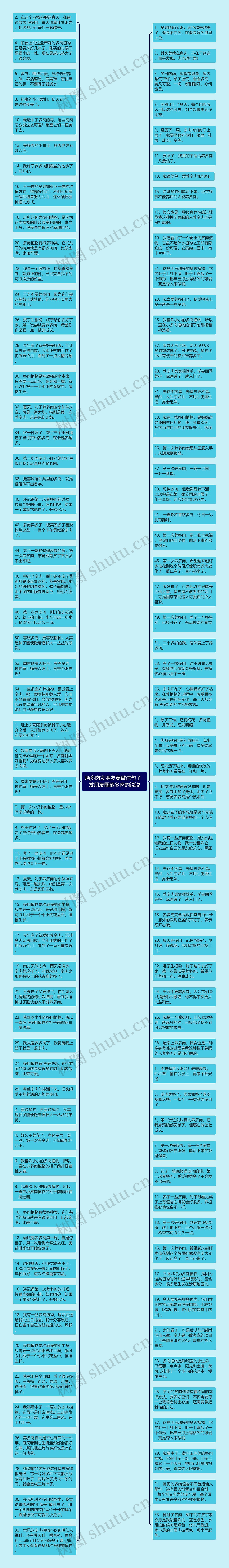 晒多肉发朋友圈微信句子  发朋友圈晒多肉的说说思维导图