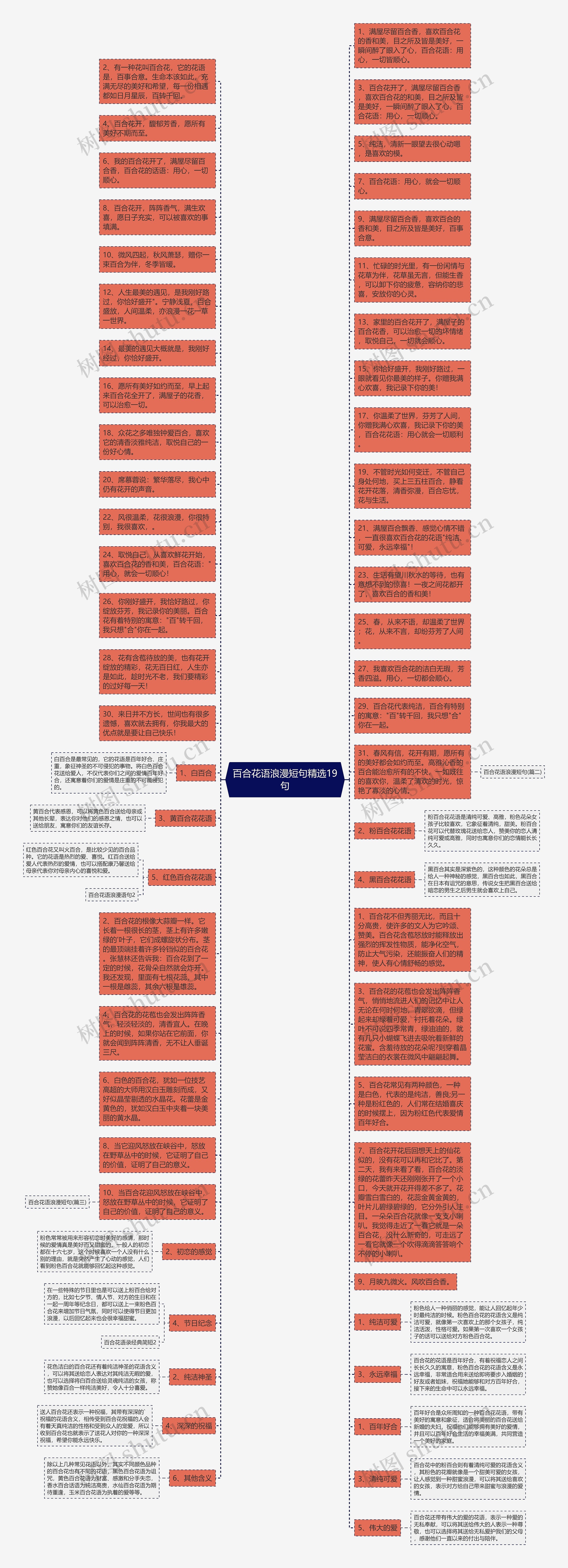 百合花语浪漫短句精选19句思维导图