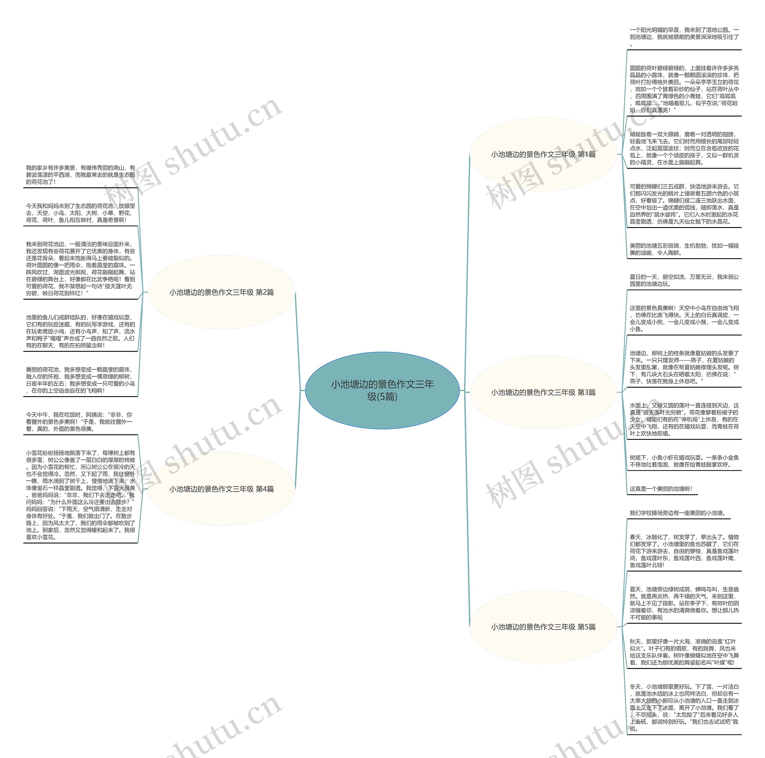小池塘边的景色作文三年级(5篇)思维导图