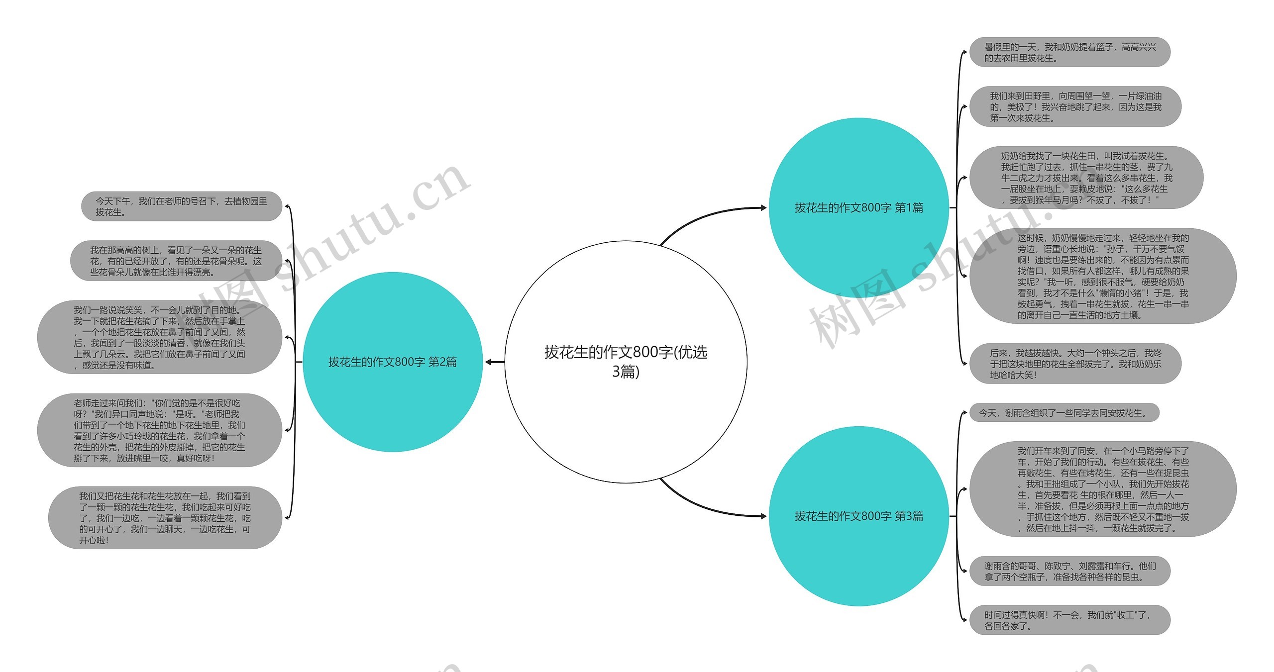 拔花生的作文800字(优选3篇)思维导图