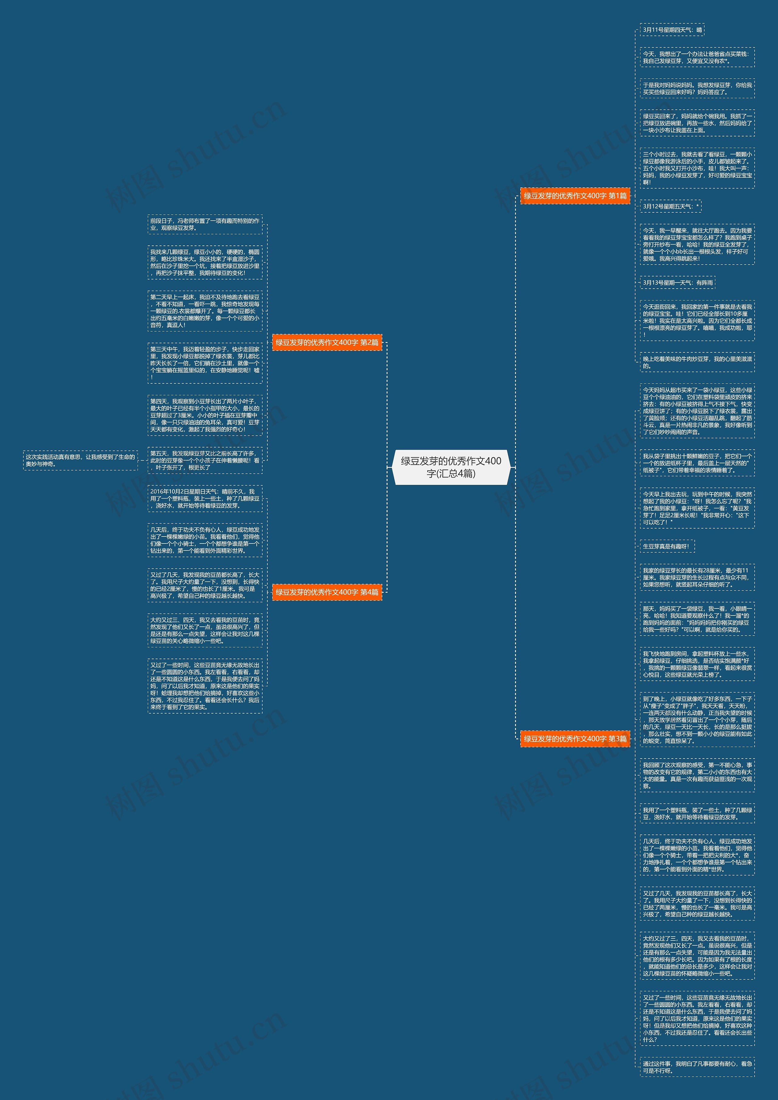 绿豆发芽的优秀作文400字(汇总4篇)思维导图