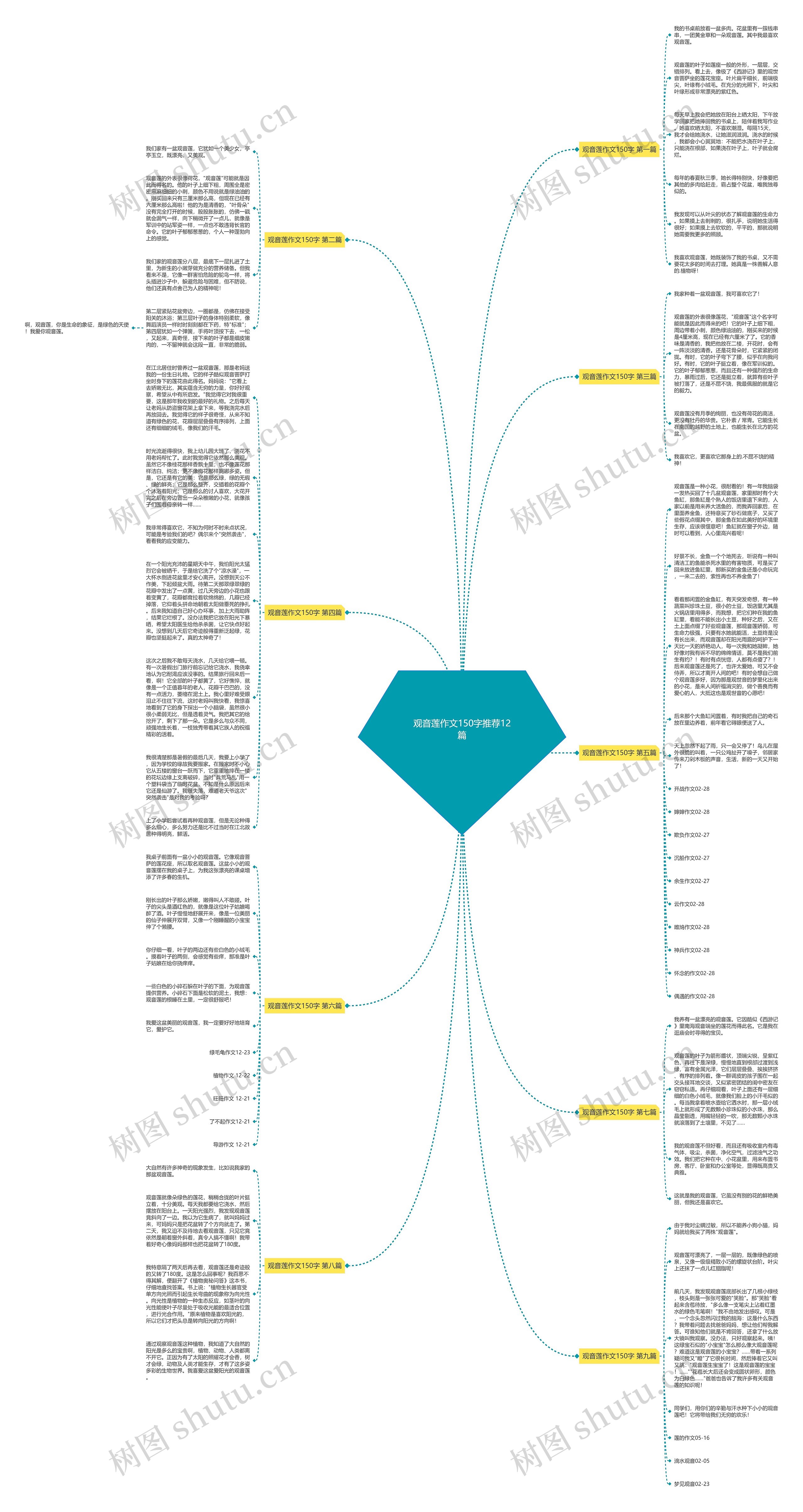 观音莲作文150字推荐12篇思维导图