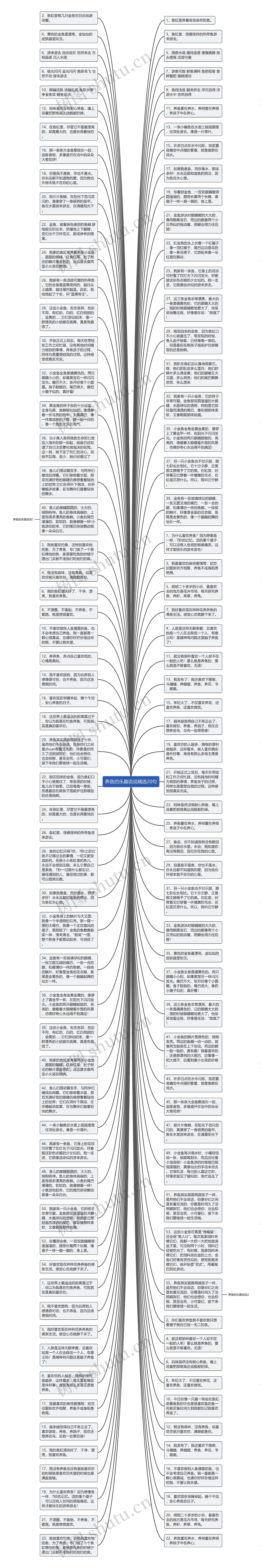 养鱼的乐趣说说精选20句思维导图